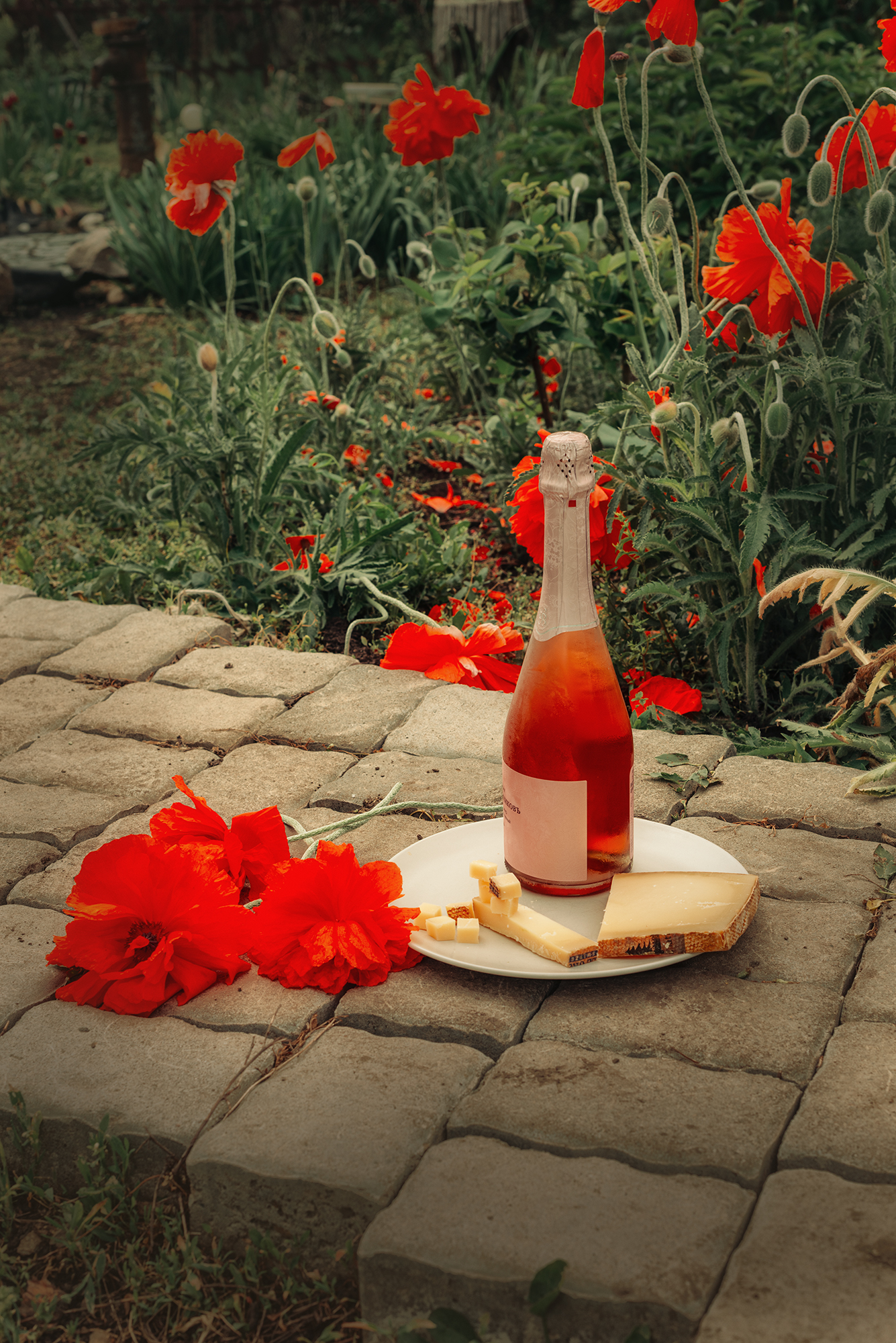 маки сыр игристое вино шампанское,  Мария