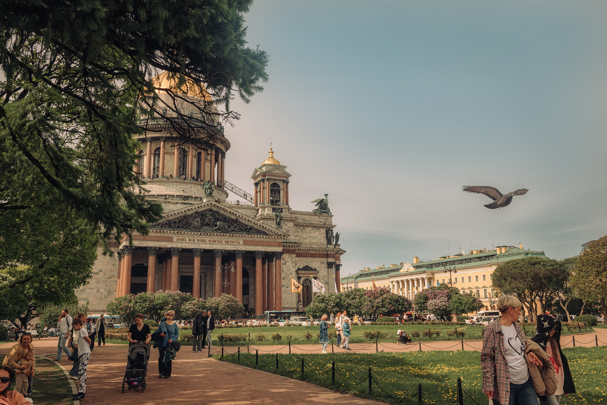 Исаакиевкий собор сквер весна,  Мария
