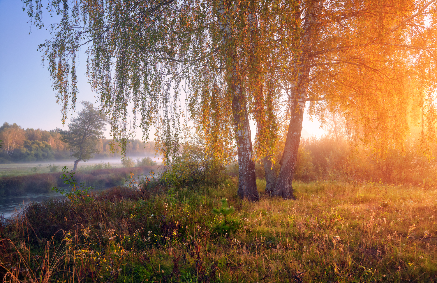 , Роман Лушпа