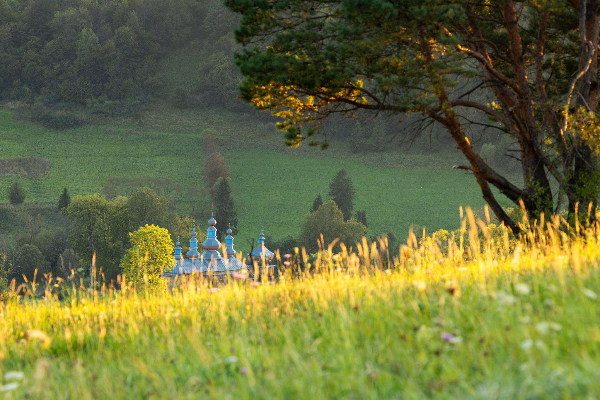 ,  Mirosław Pruchnicki