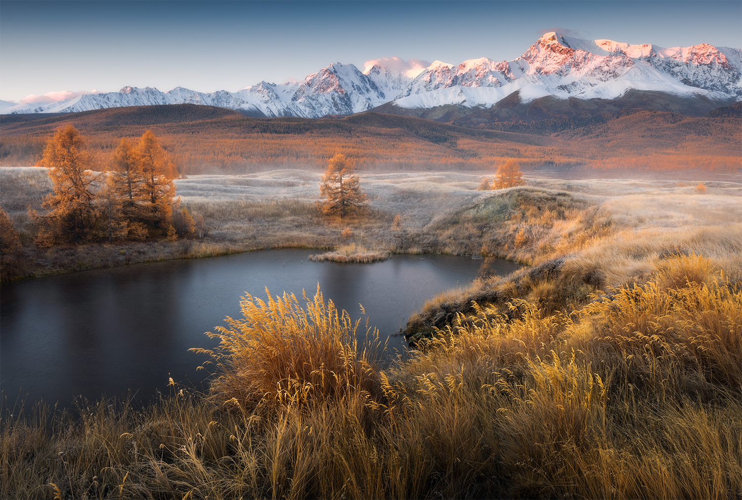 алтай, утро, озеро, вода, холод, горы, лиственницы, Сергей Буторин