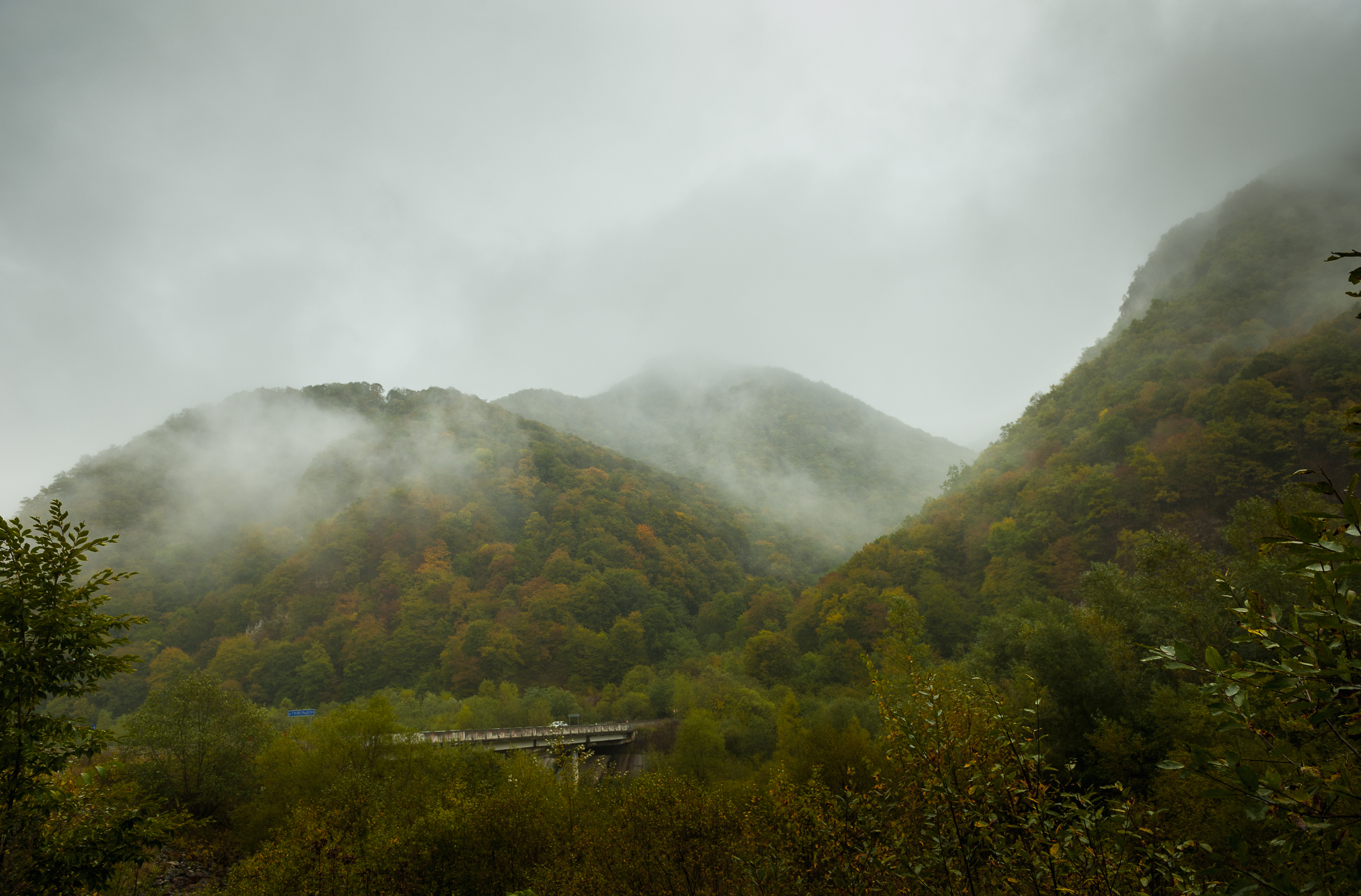 , Табуев Батраз