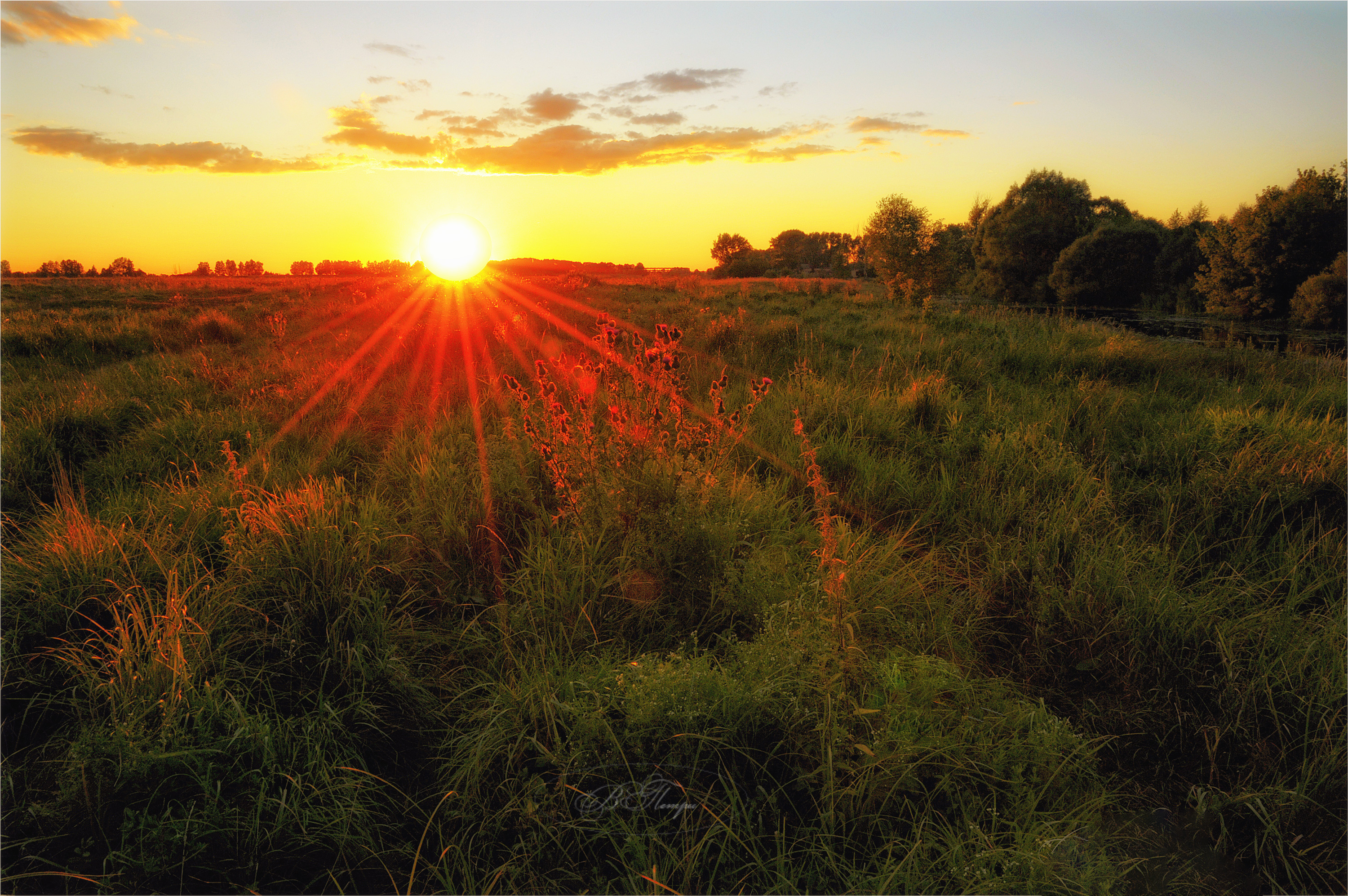 солнце лучи трава, Вера Петри