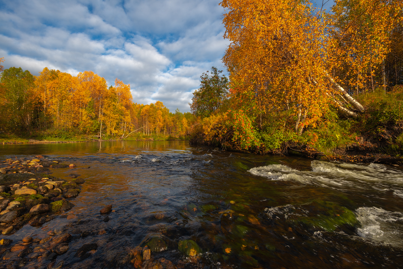 север, кольский, заполярье,, Роман Горячий