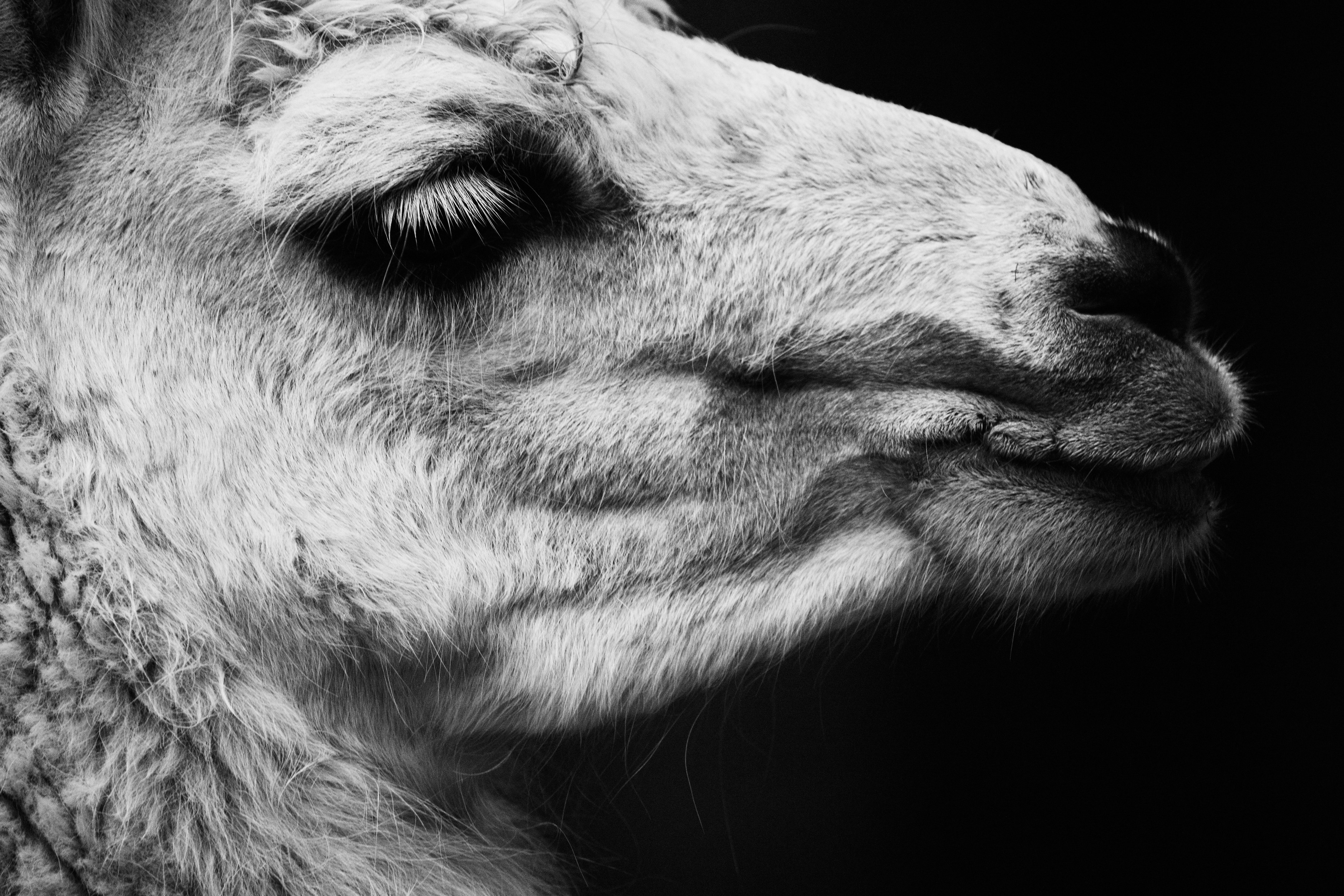 , ssmirs Сергей