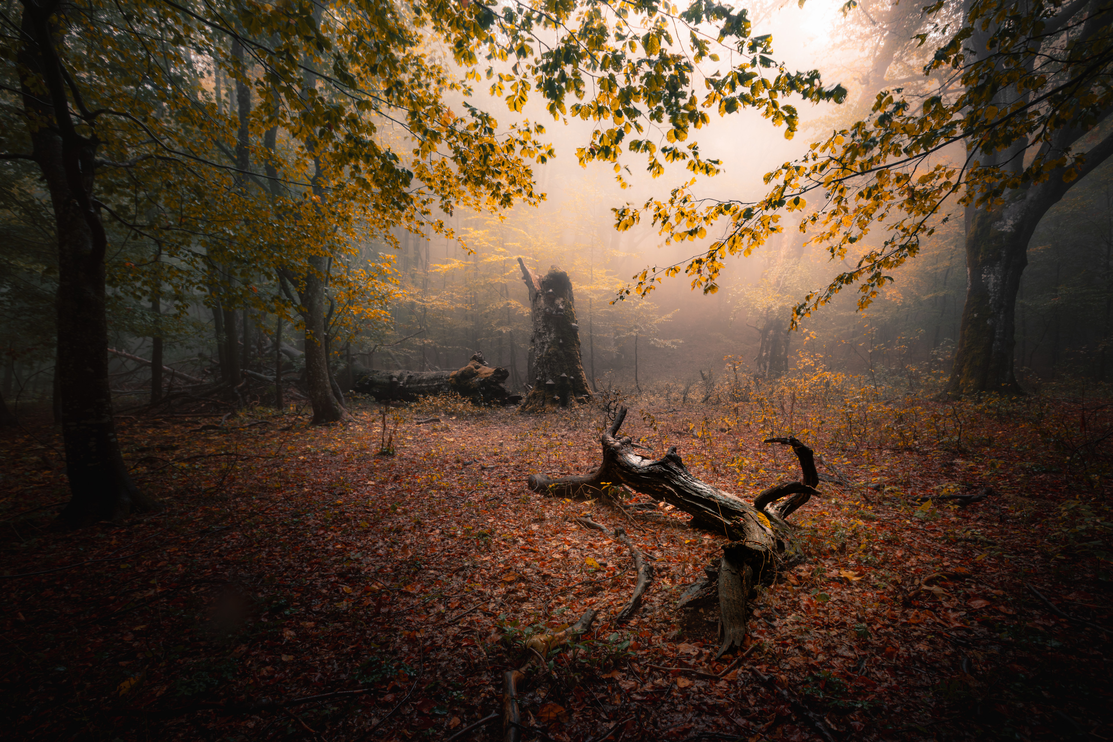 , Пенов Пламен