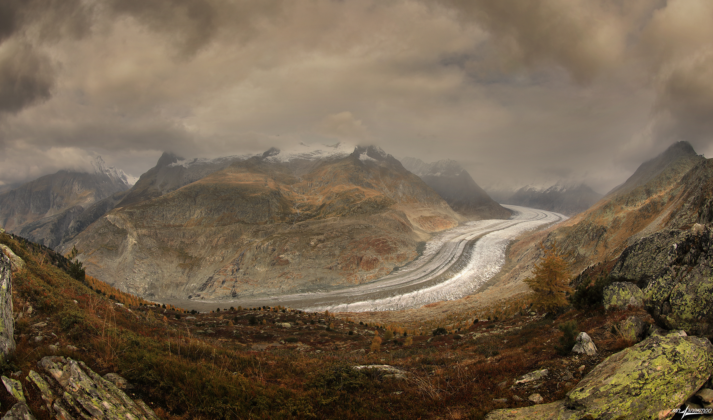swiss, Матвеев Николай