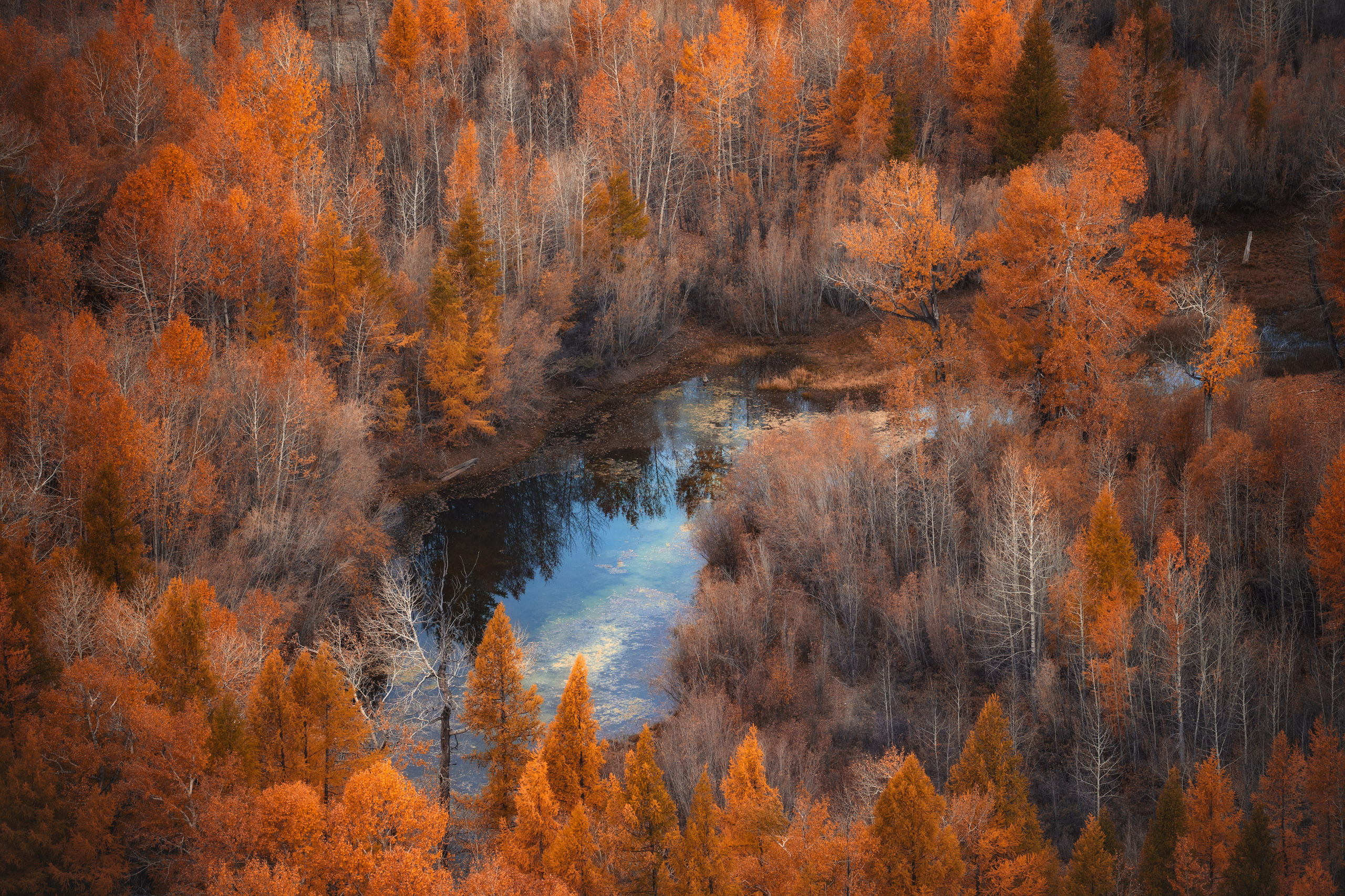 , Алексей Вымятнин