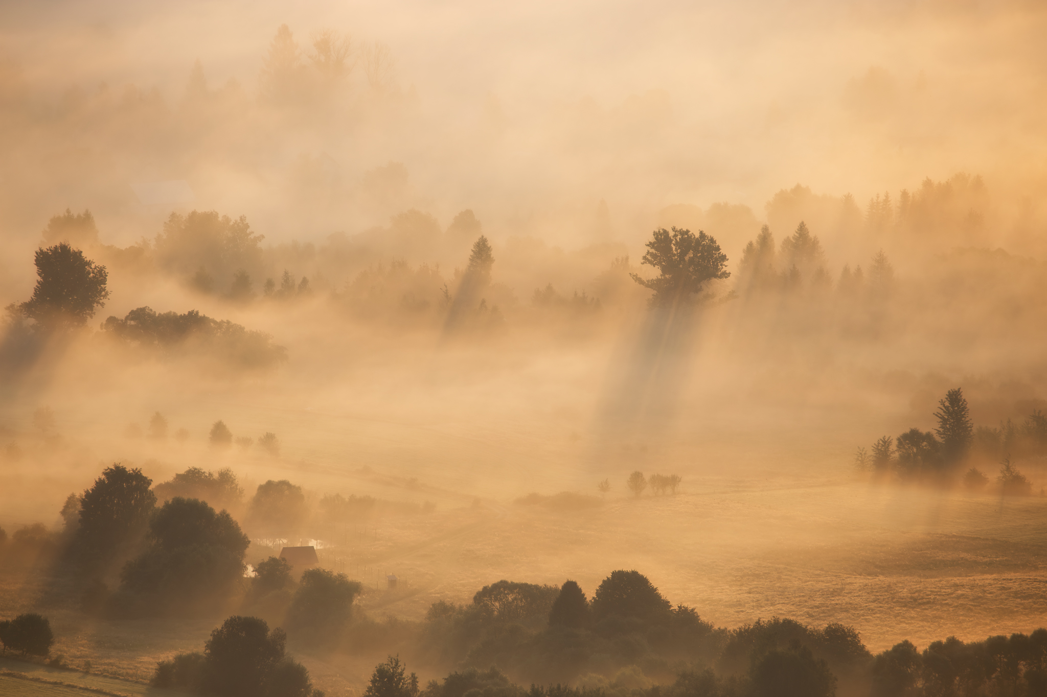 ,  Mirosław Pruchnicki
