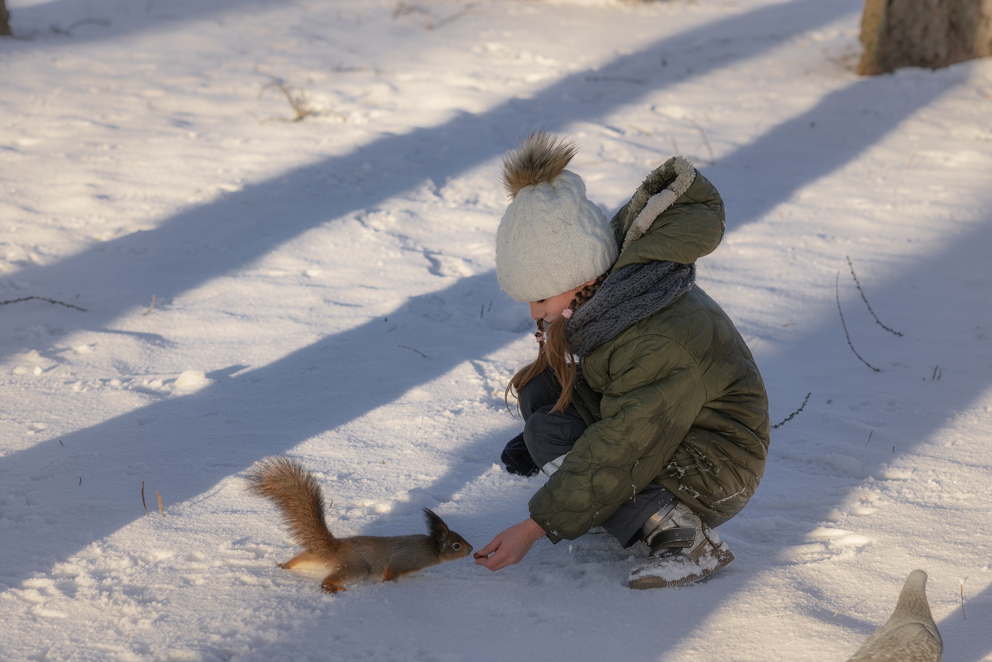 белка ребёнок кормление зима,  Мария