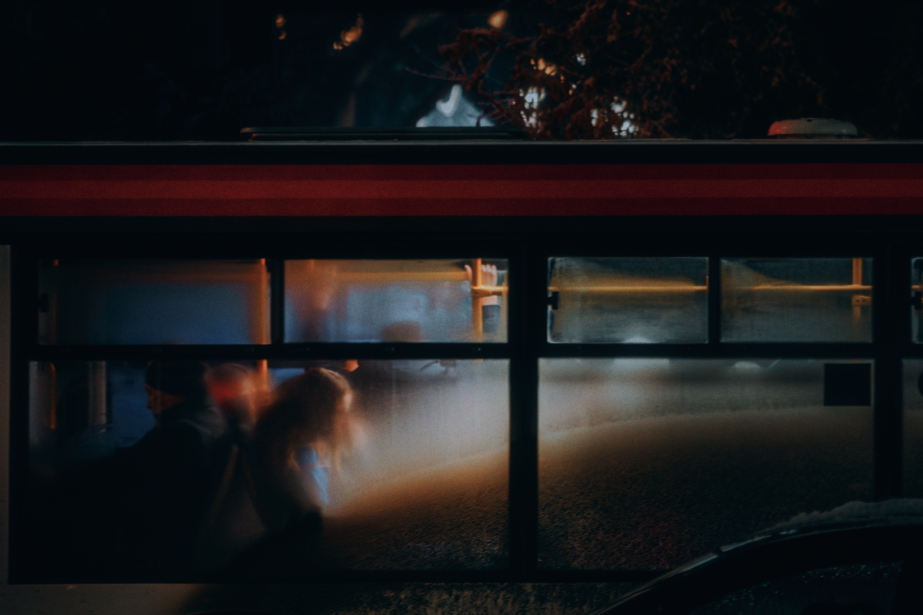 , Виктор Гагарин