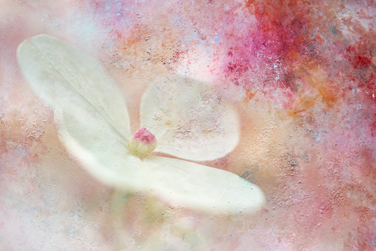 close-up, Копцев Игорь