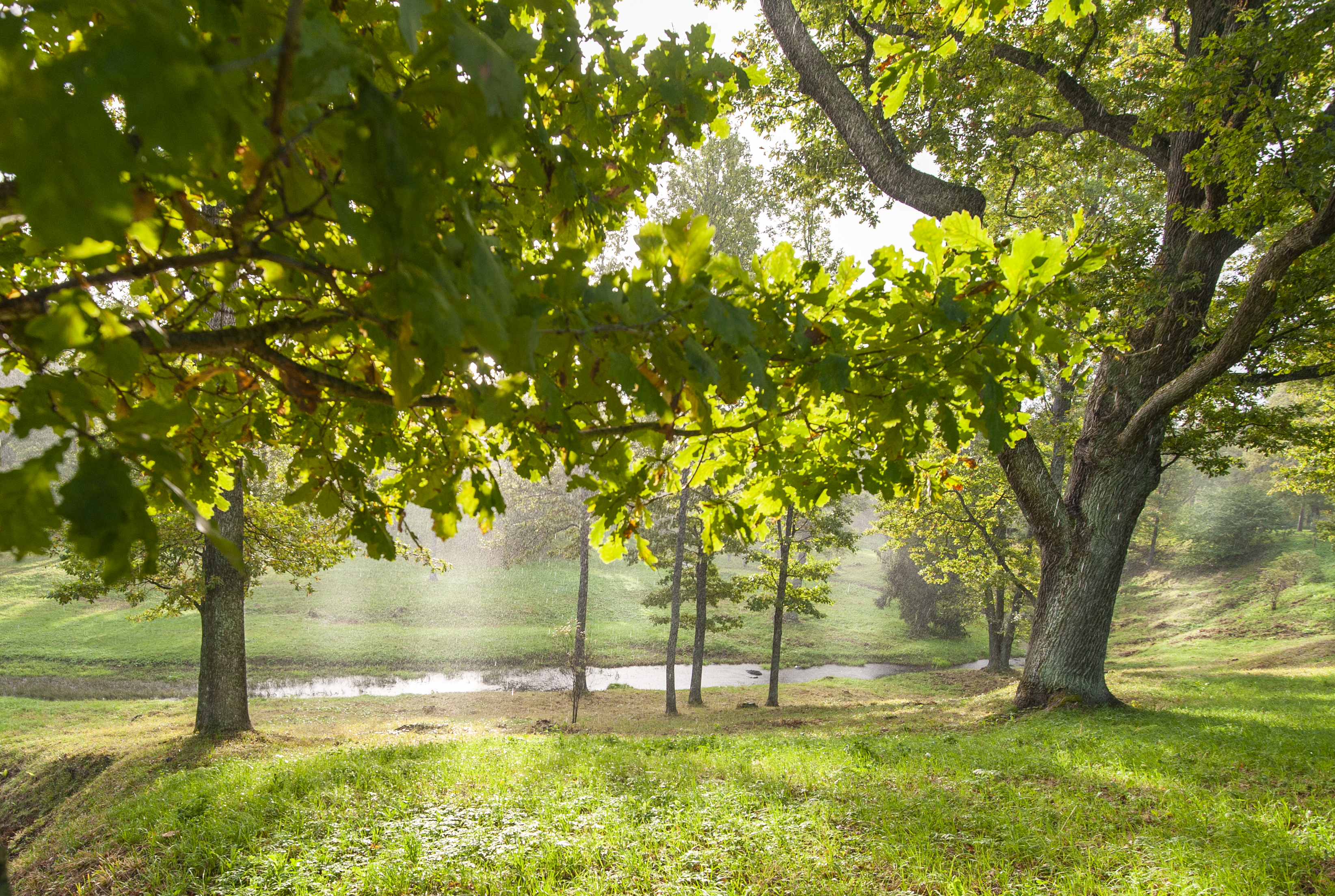 , Георгий Сапожников