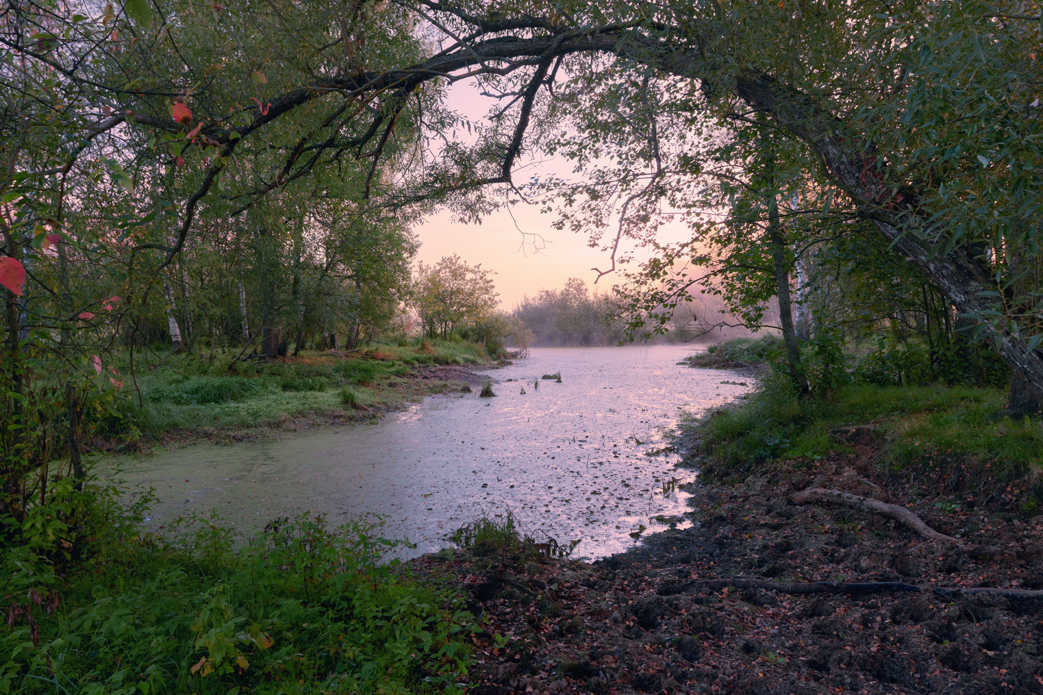 , Роман Лушпа
