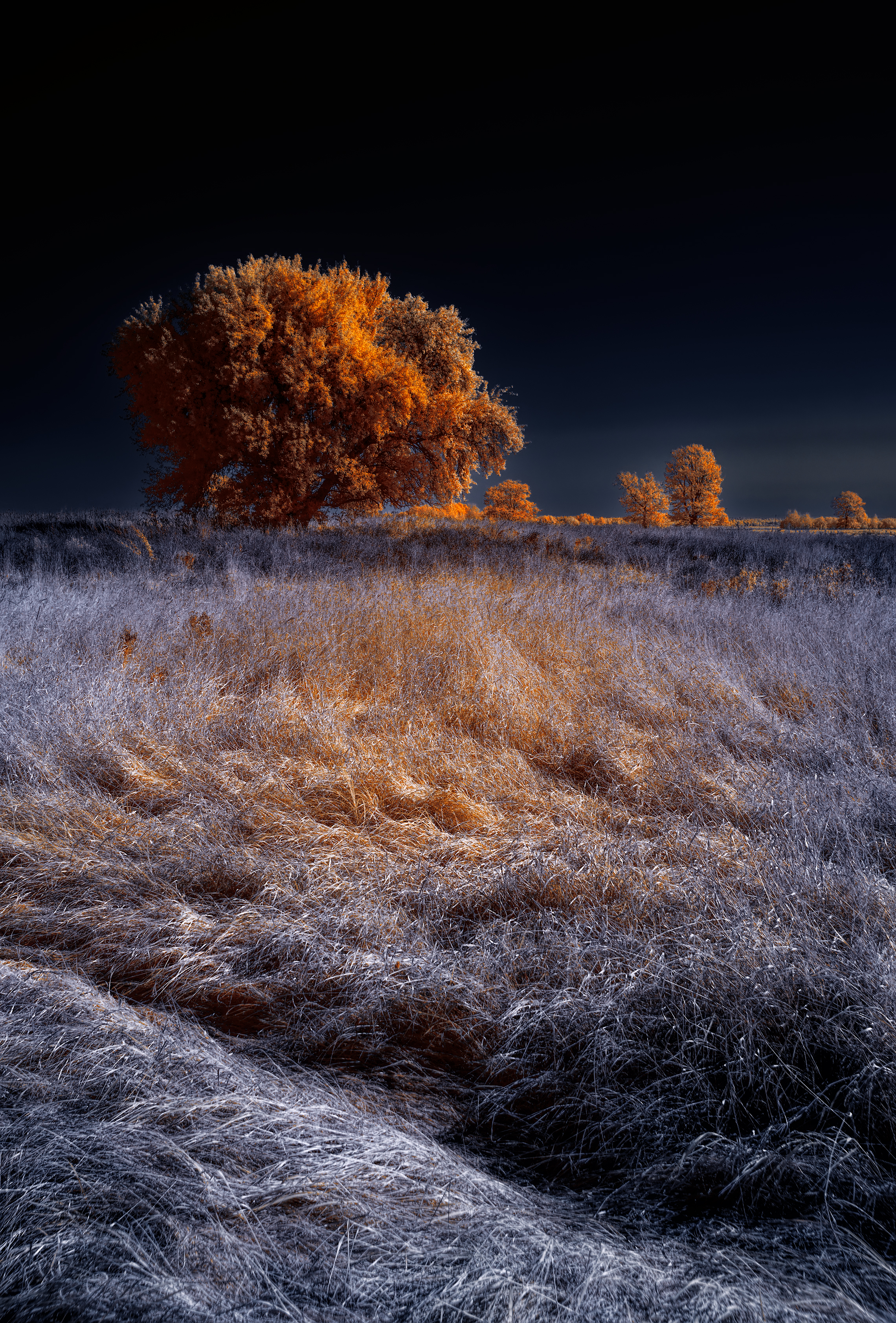 infrared, ик-фото, инфракрасное фото, инфракрасная фотография, пейзаж, осень,  Sixten (Сергей)