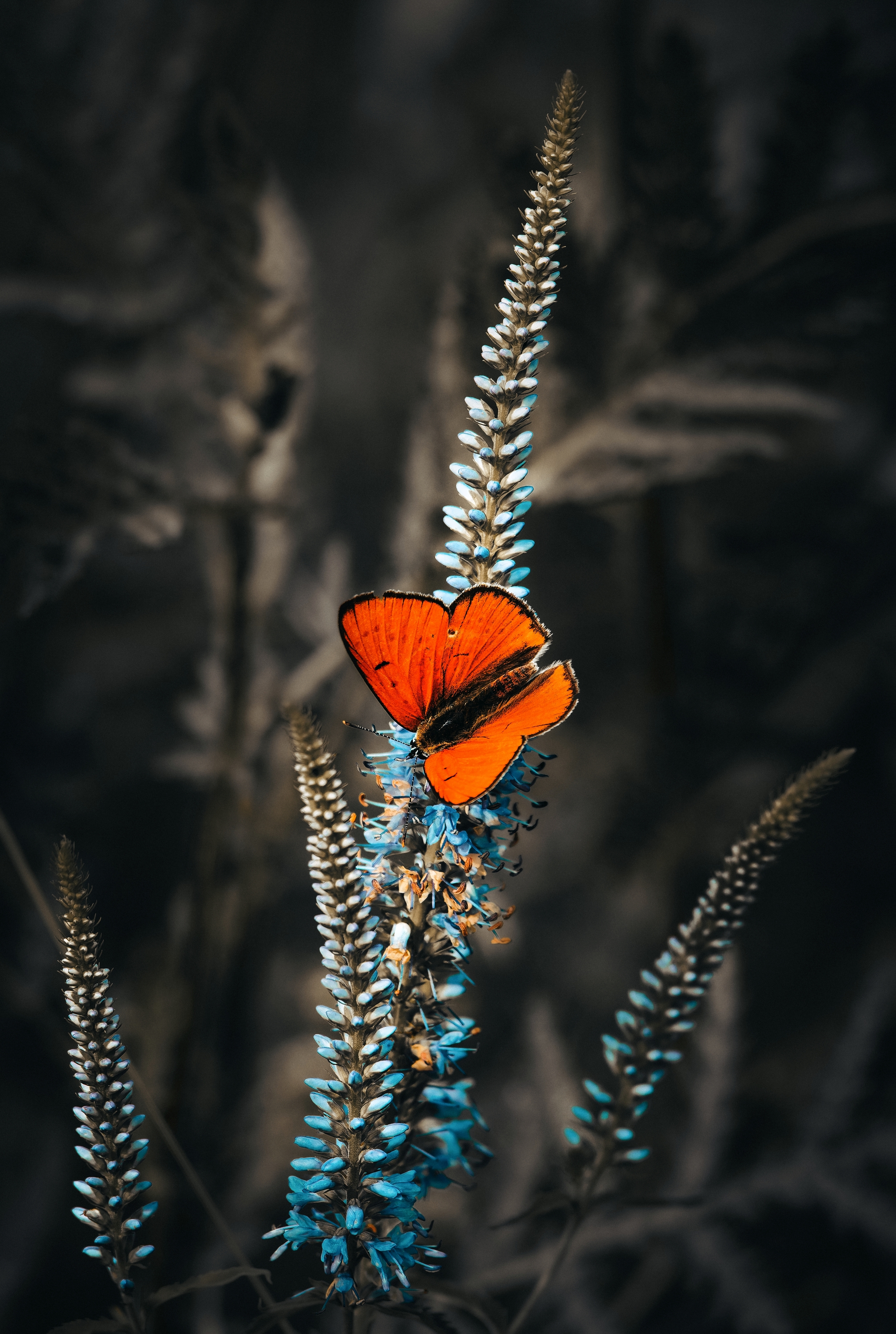 , Фото Александр