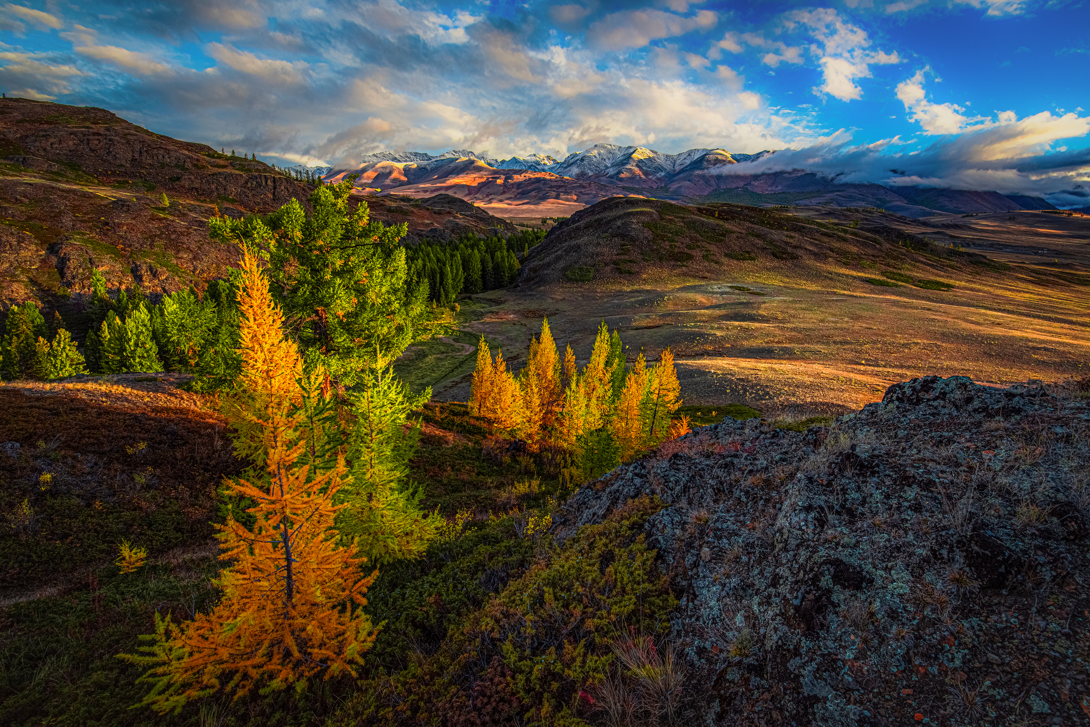 , Усанин Максим