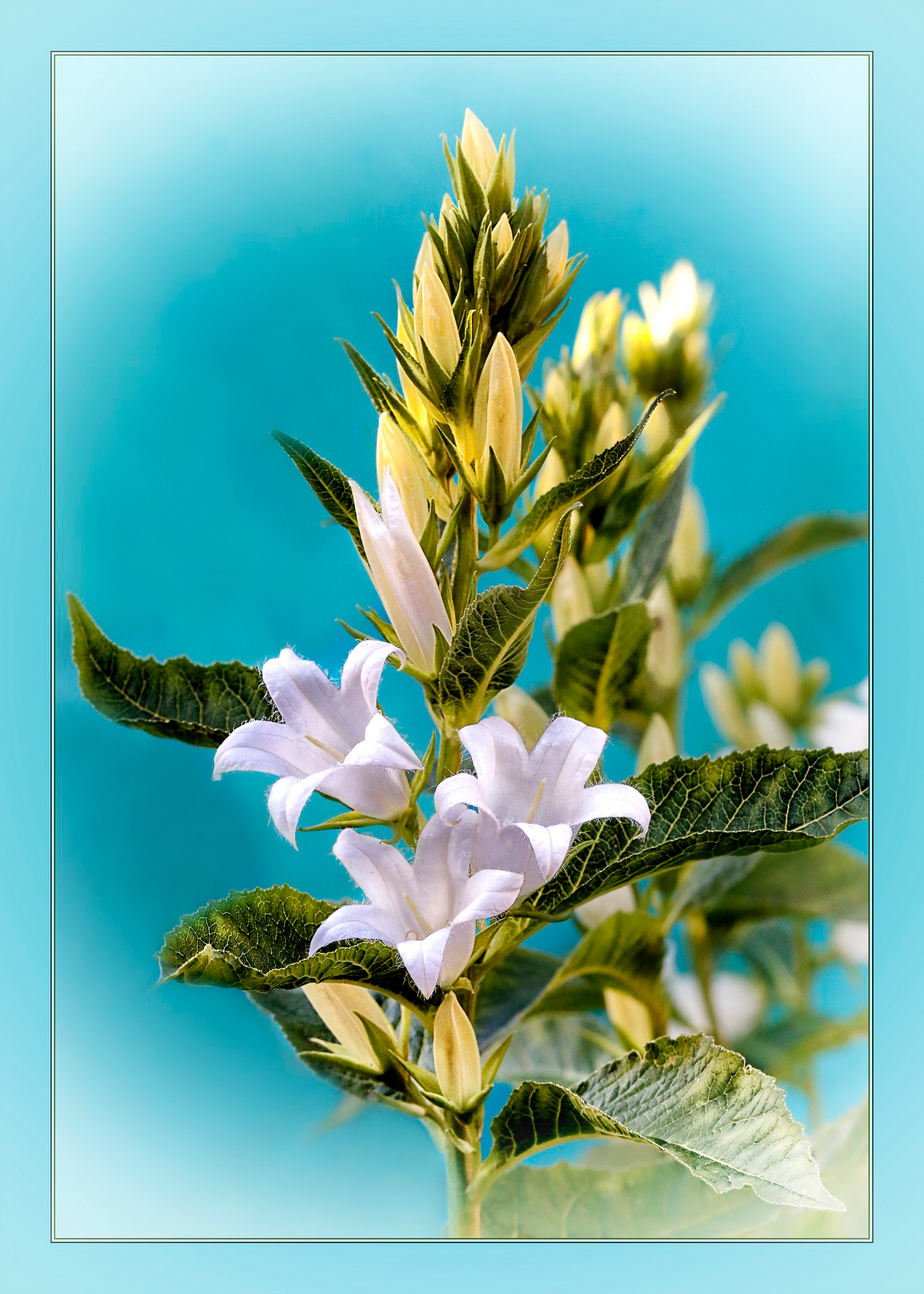 , Ушаков Валерий