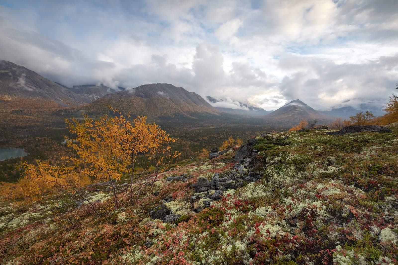Хибины., Чернов Юрий