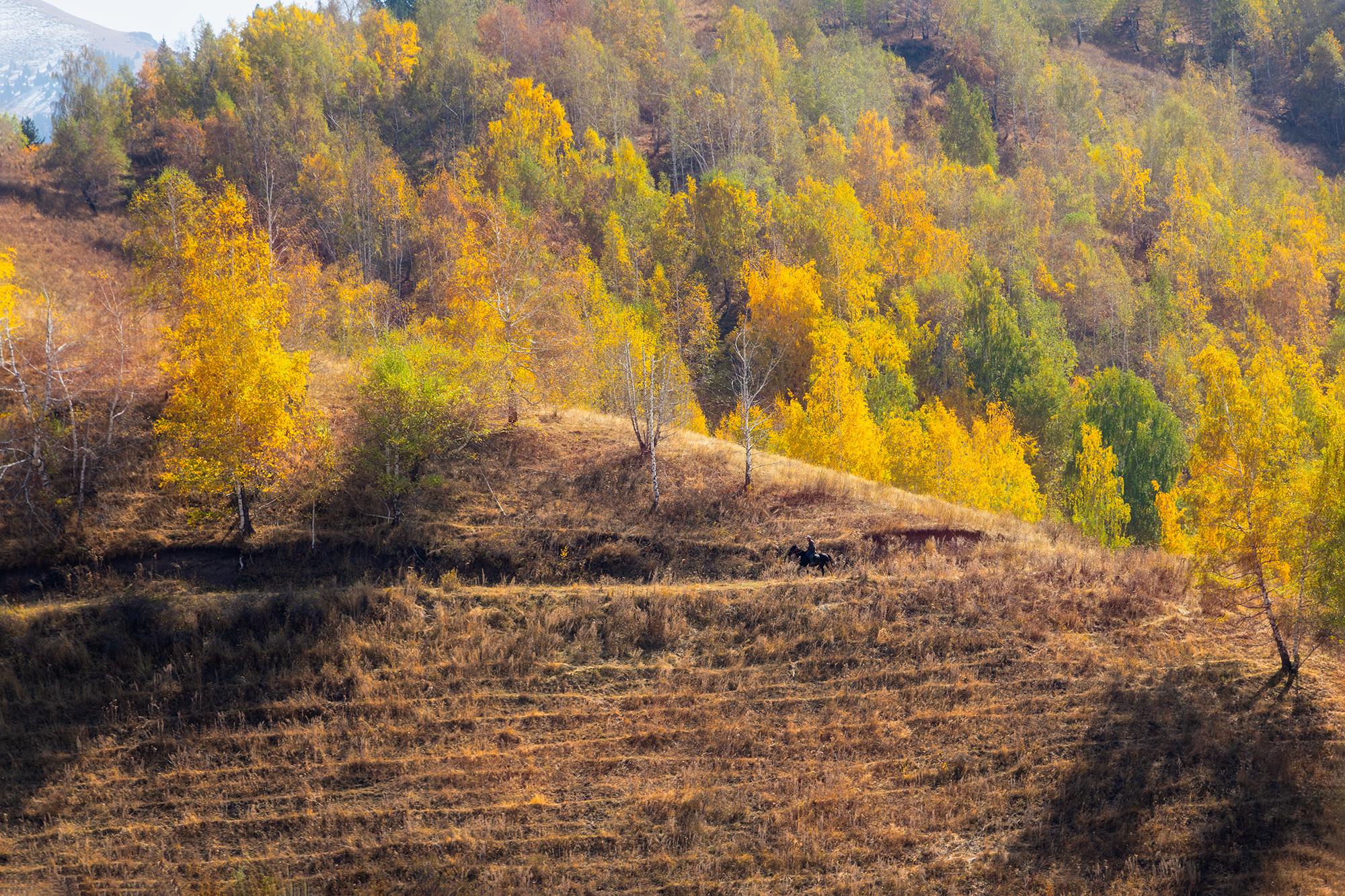 кыргызстан, чон-кемин, Элина Магалимова