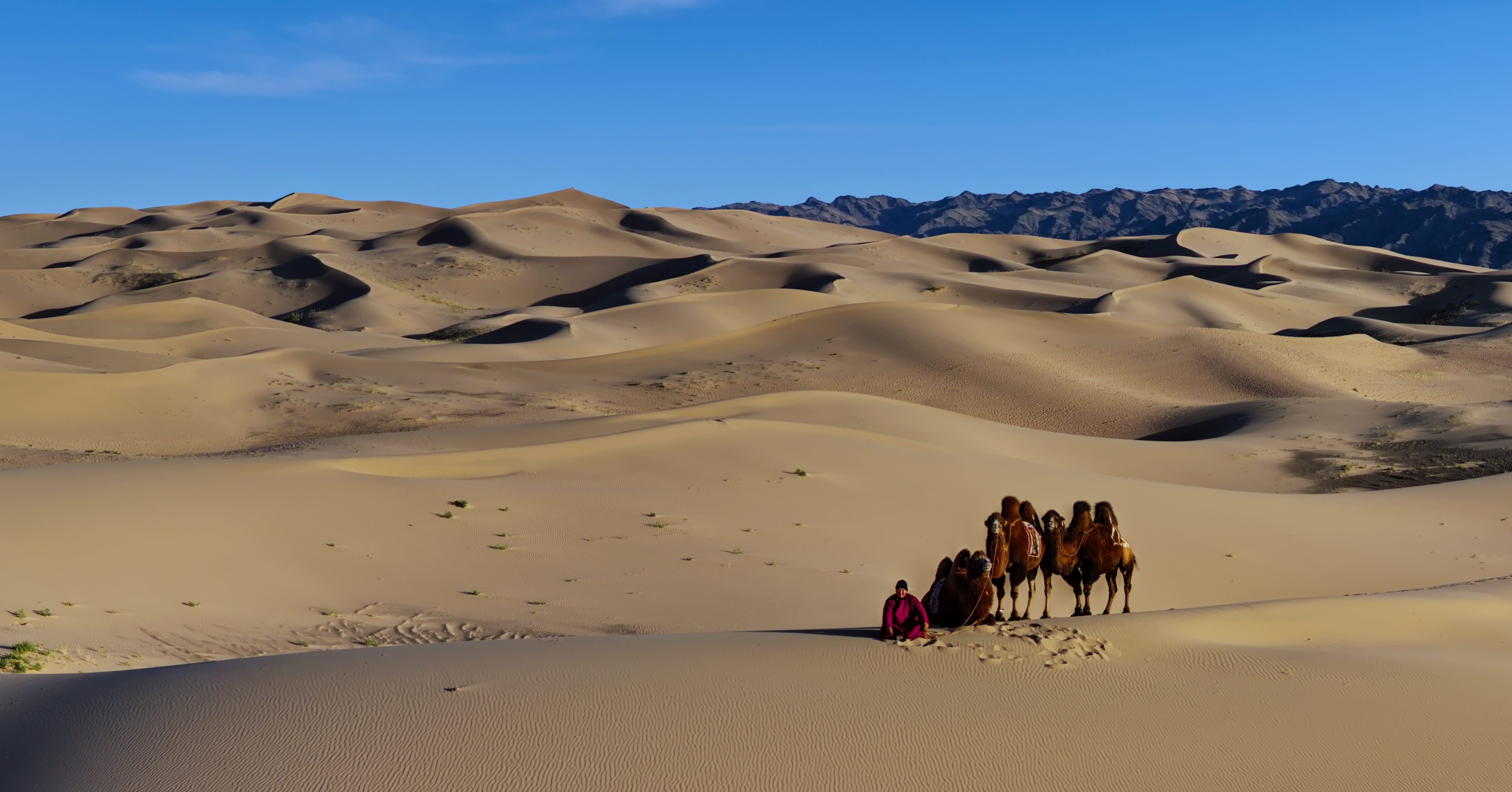 , Игорь Щербаков