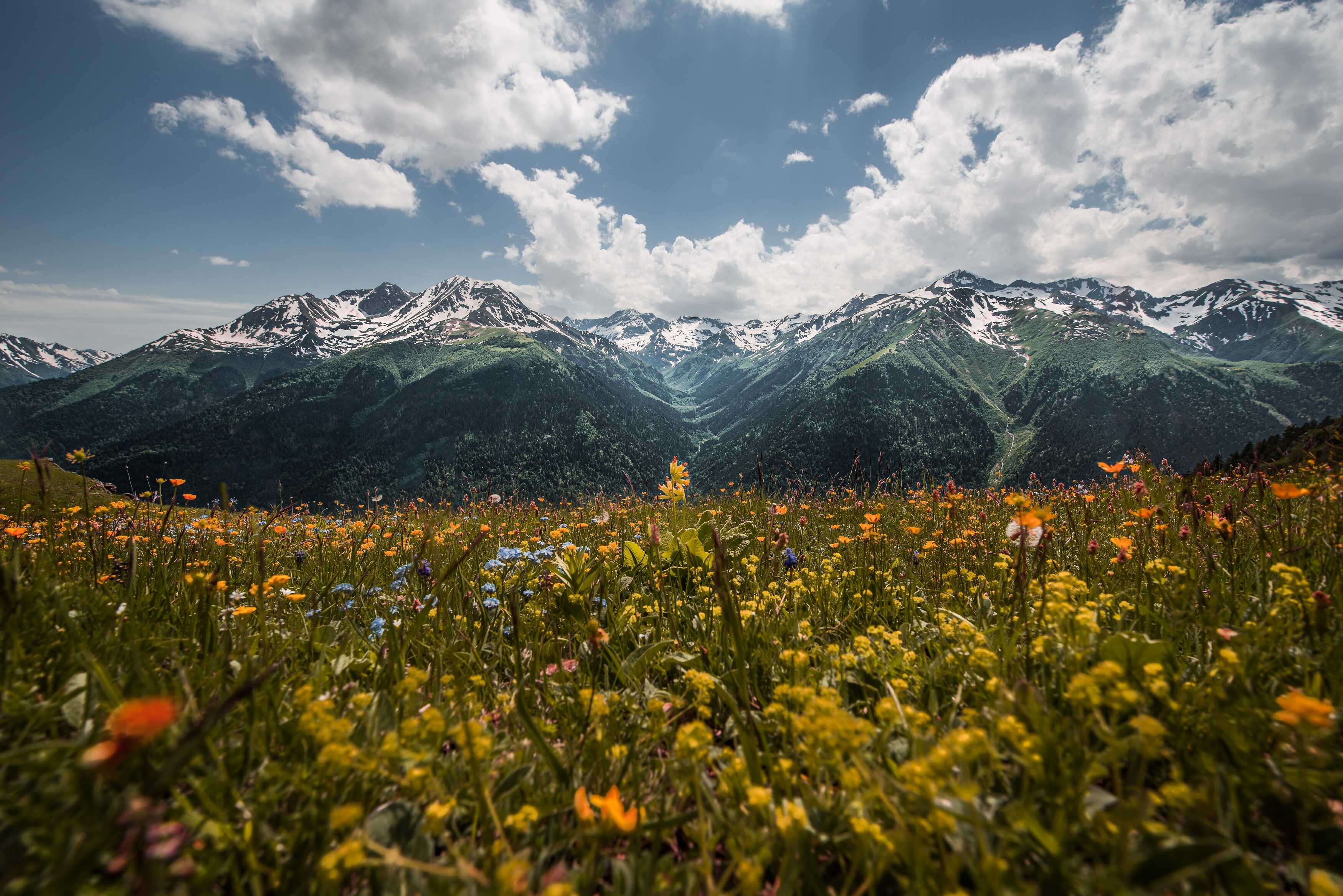 , Дмитрий Величко