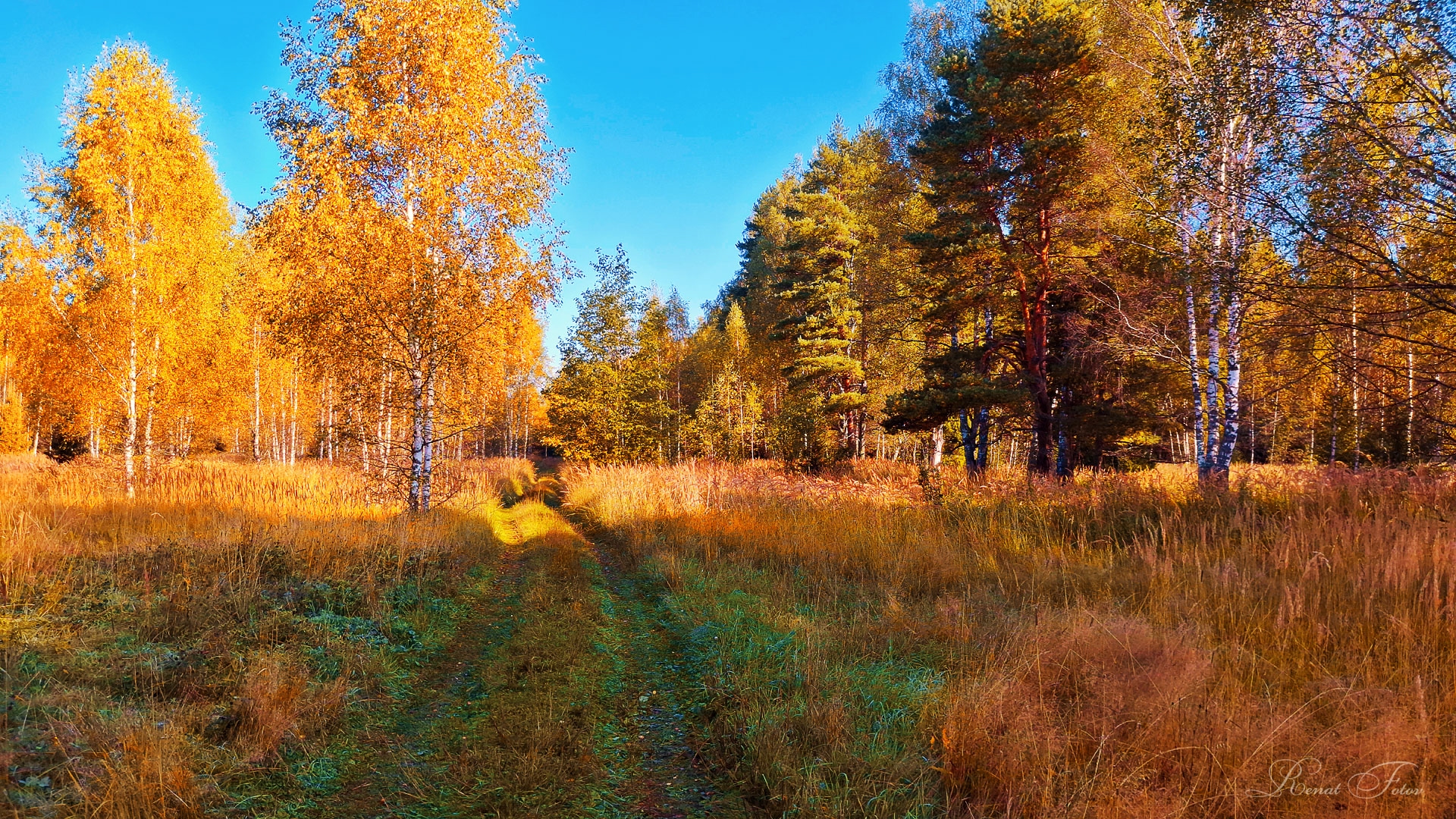 , Фотов Ренат