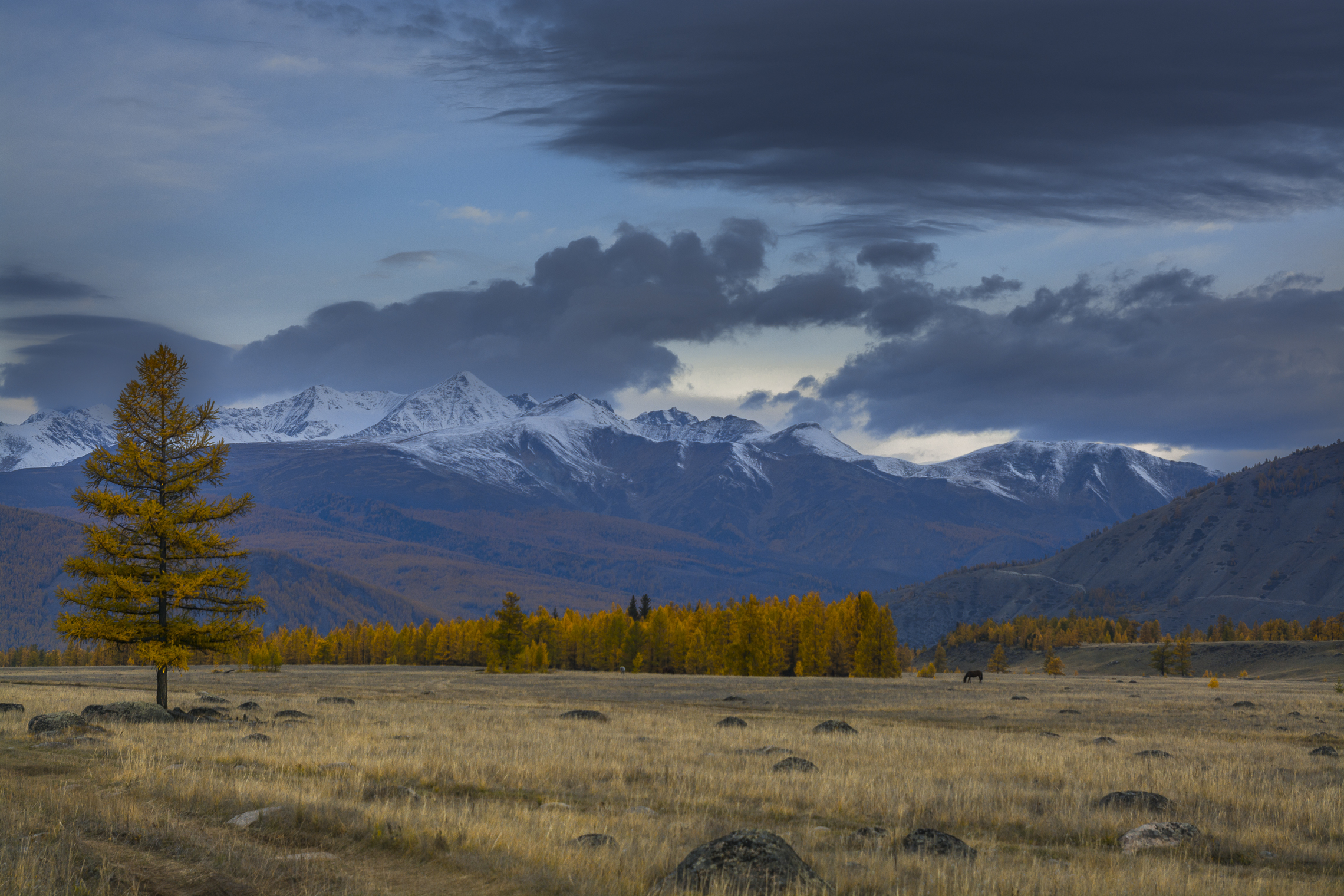 россия, горный алтай, степь, утро, осень, Андрей Поляков