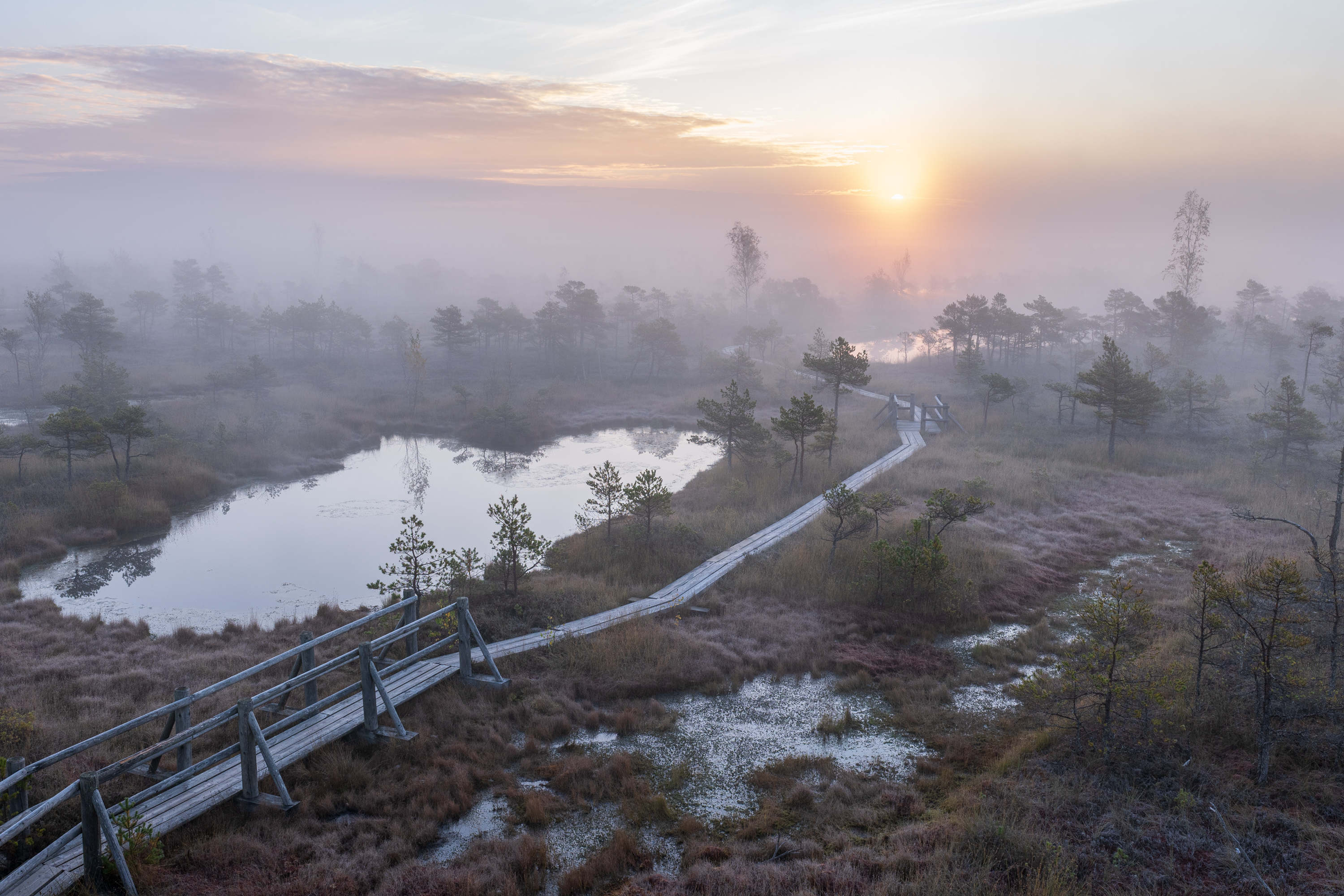 , Гордон Николай