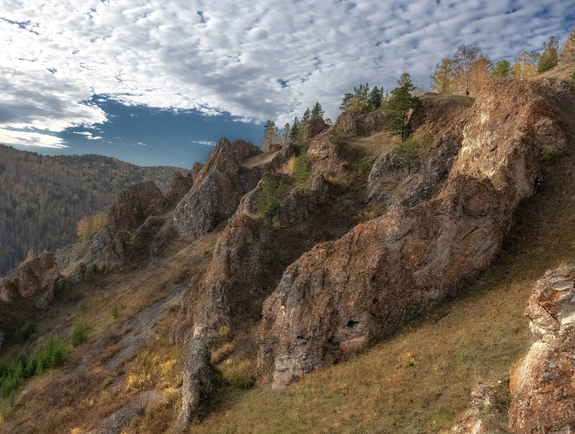 склон, осень, торгашинский хребет, Марина Фомина