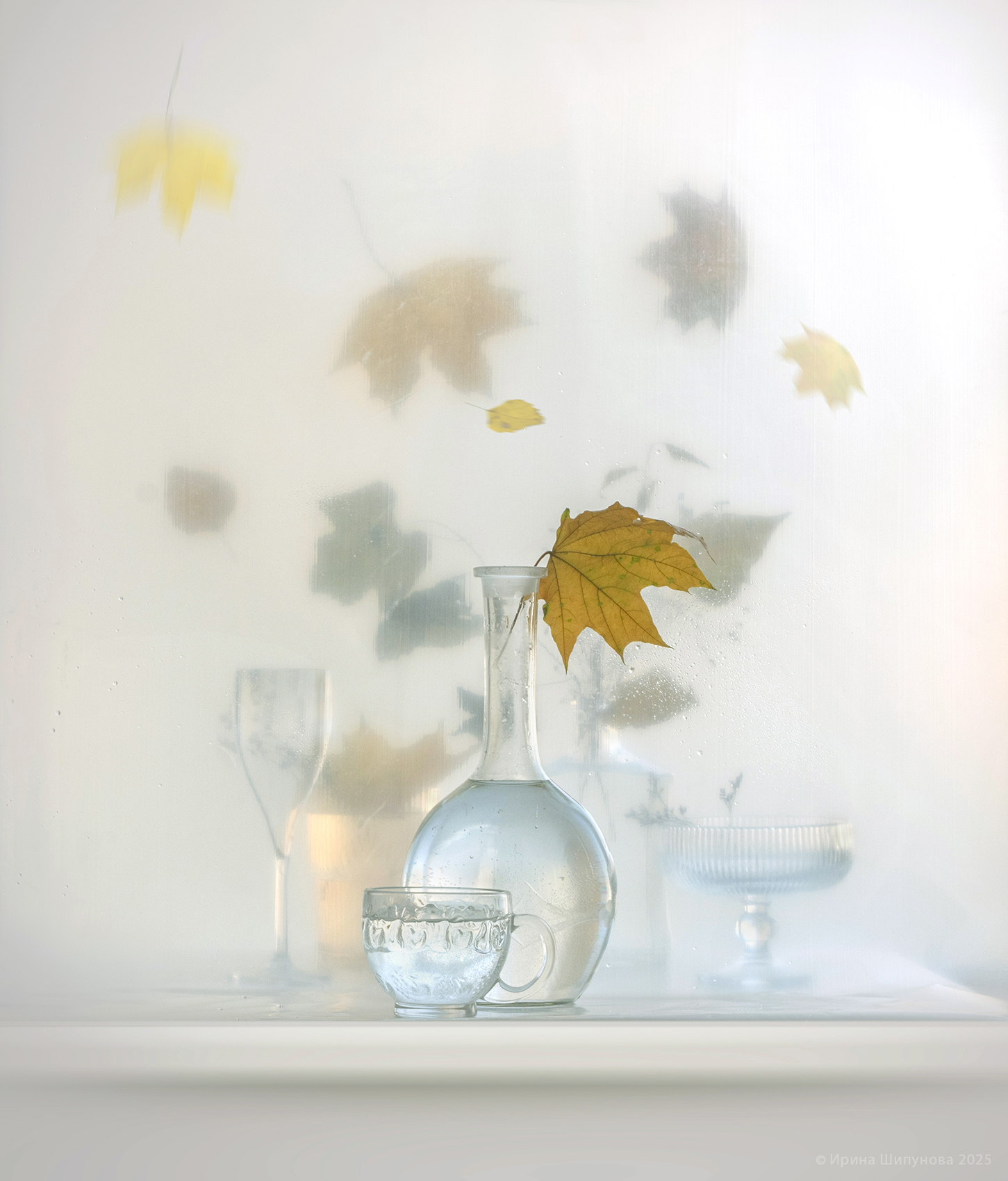 , Шипунова Ирина