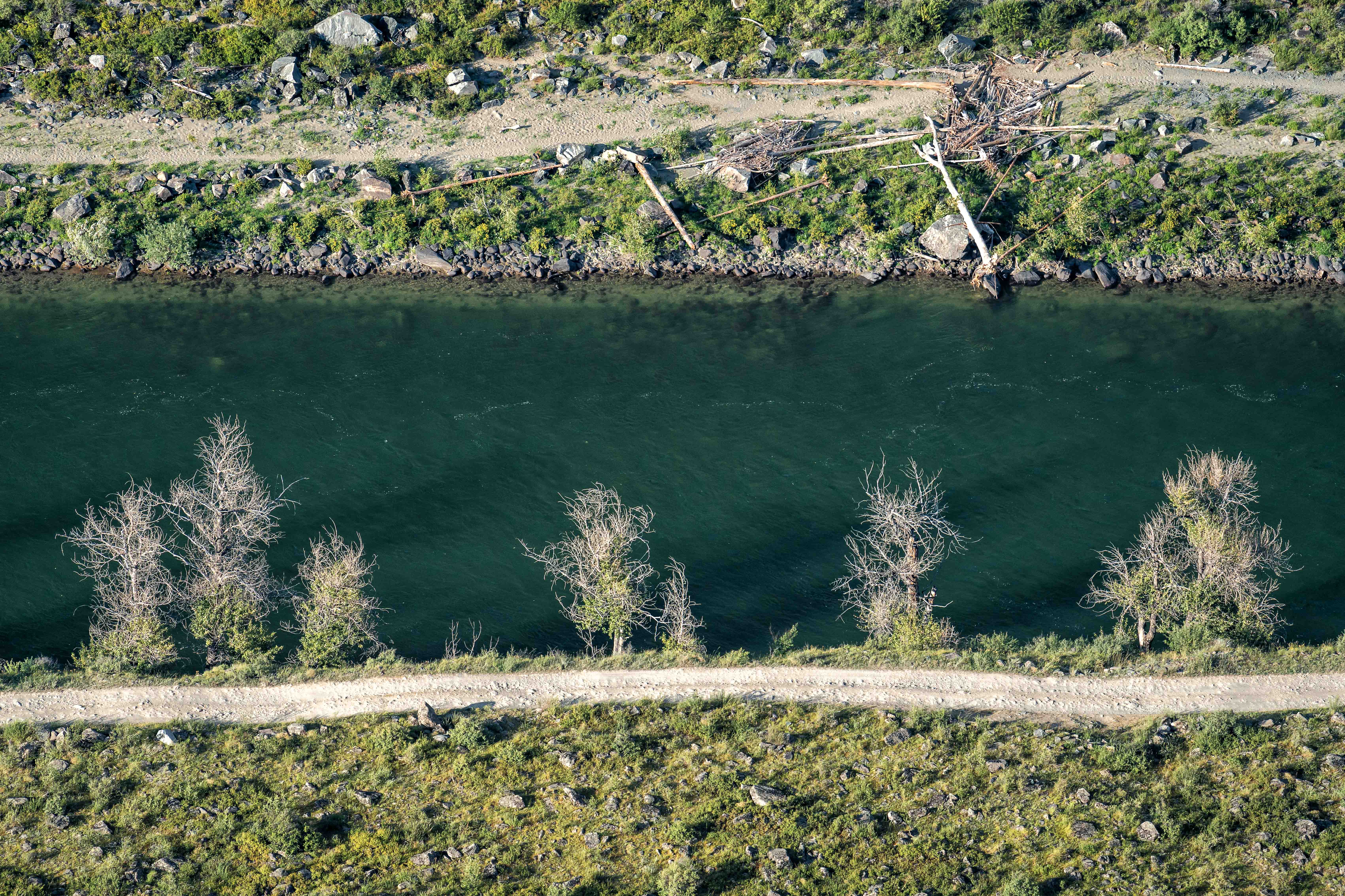 , Важенин Евгений