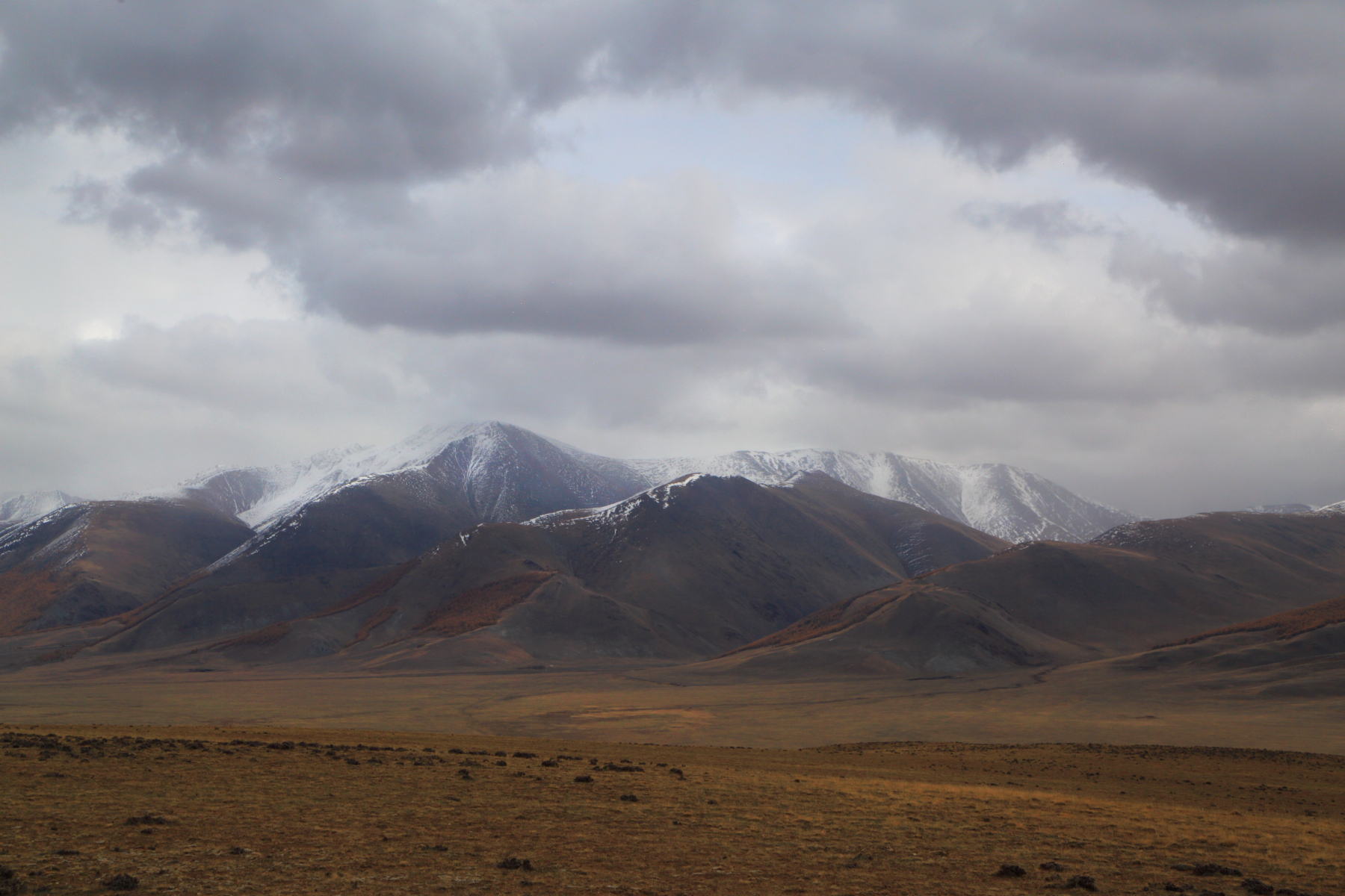 , Евгений Зинов