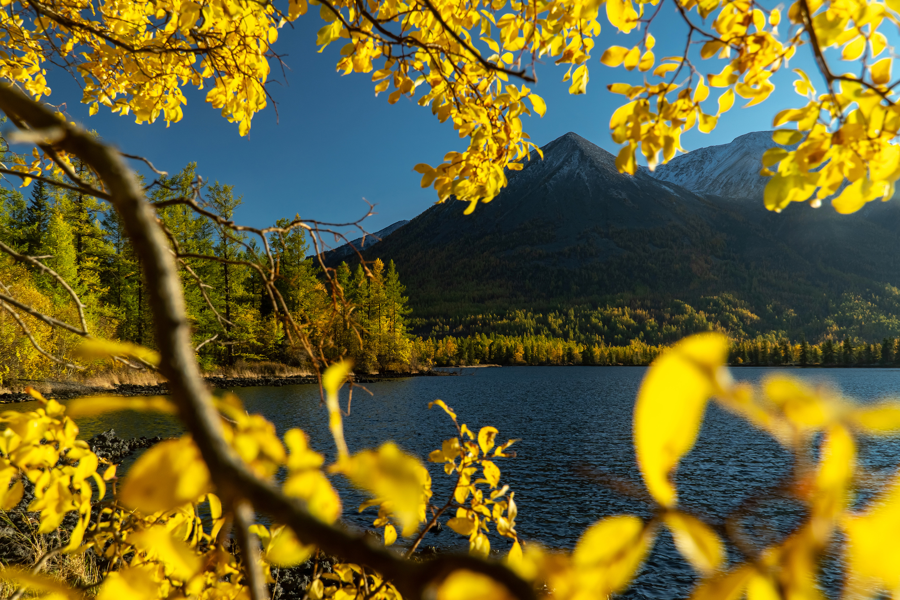 олон-нур, жомболок, саяны, бурятия, осень, Тильпунов Михаил