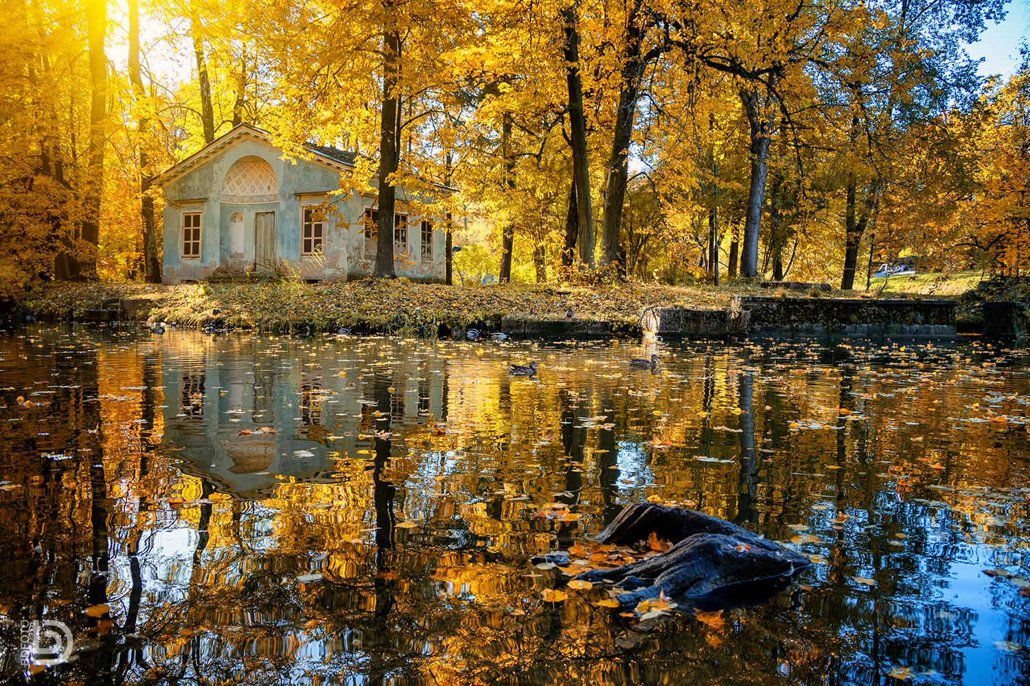 пушкин, осень, Дмитрий Бакулин