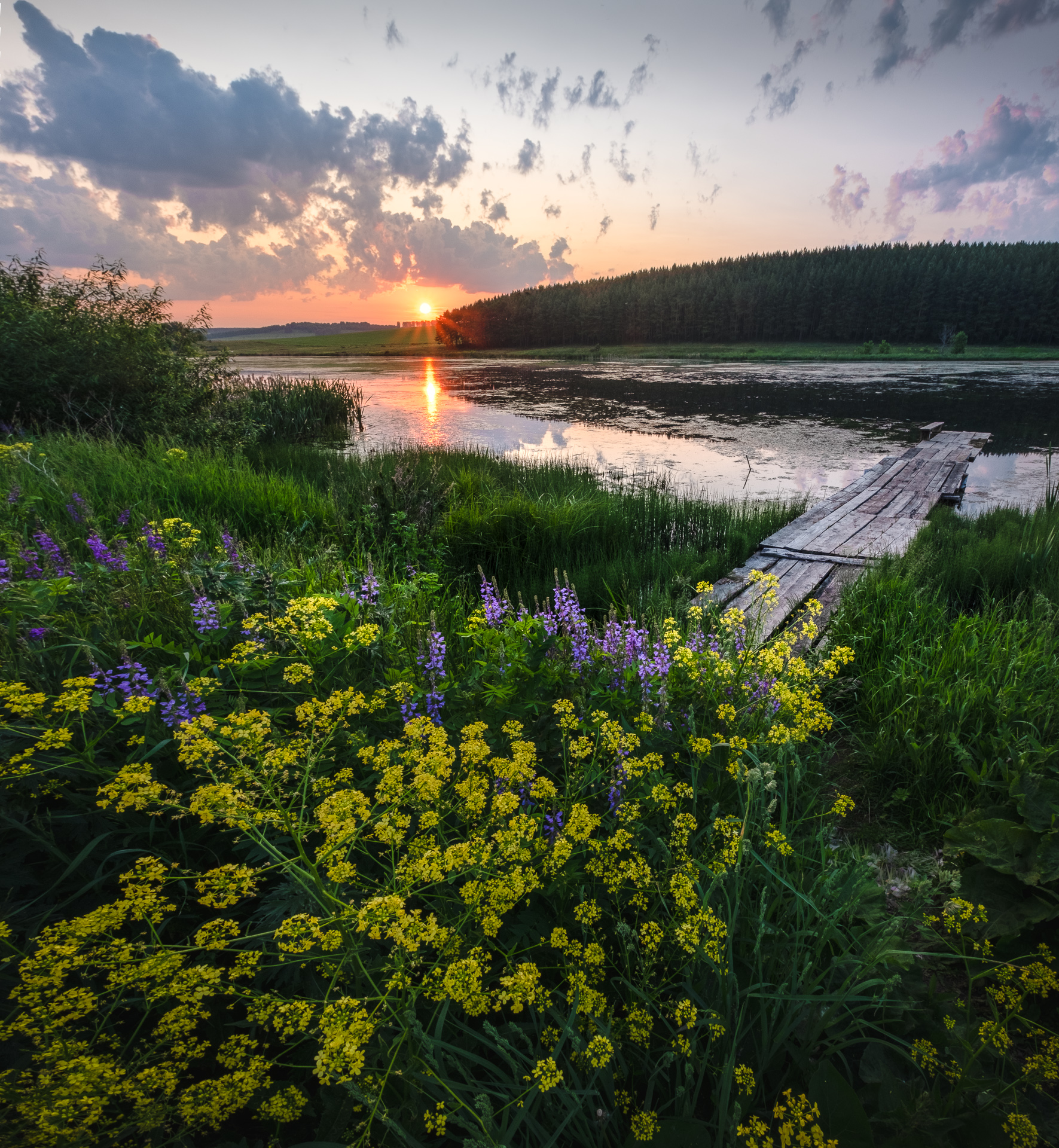 , Коротеев Вадим