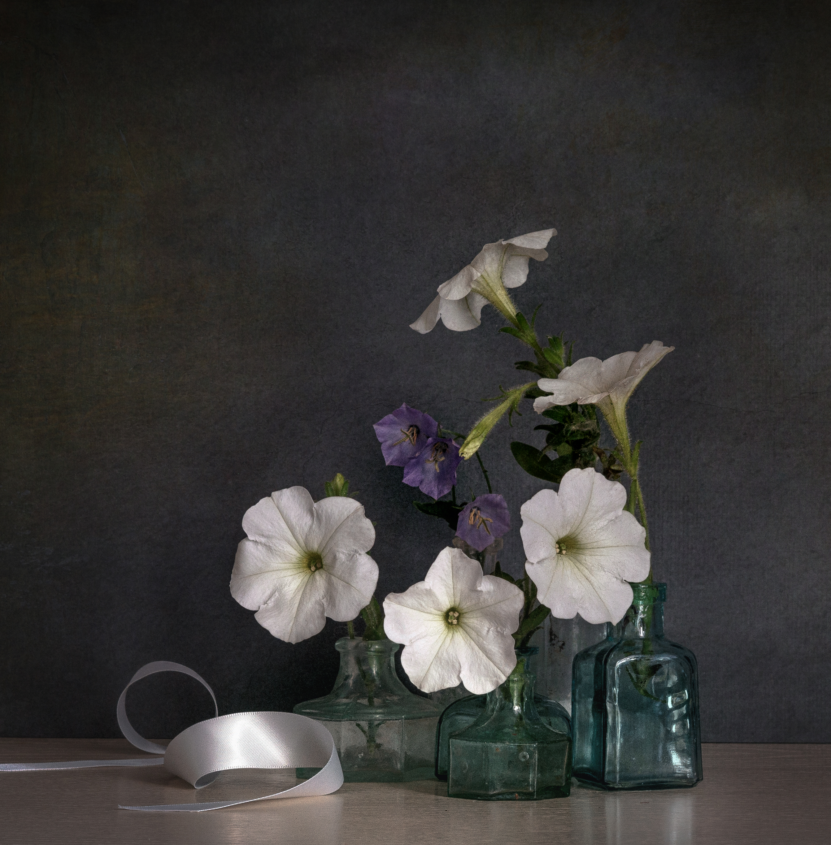 , Viktoriya Shamanova