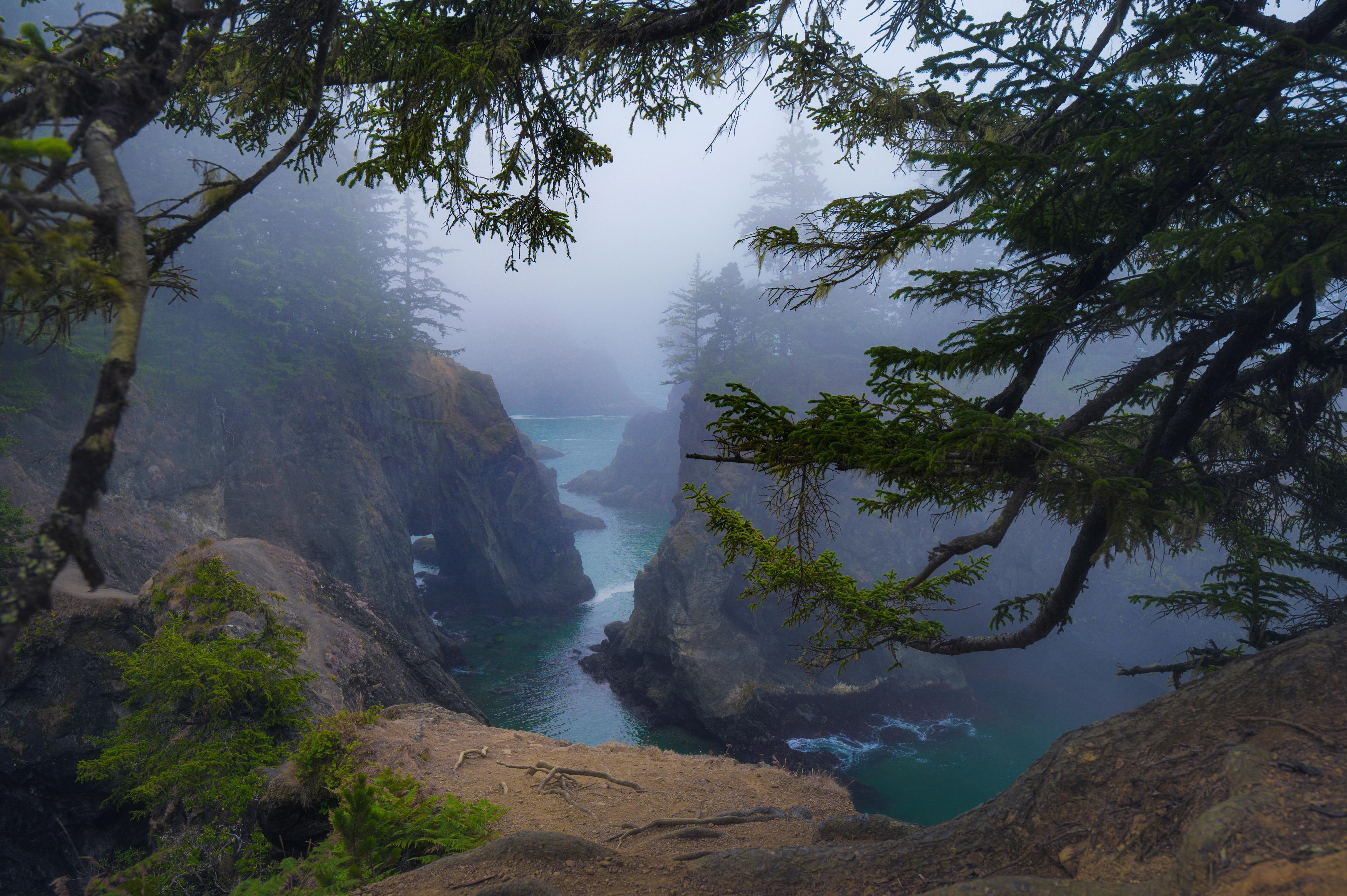 , Алексей Кретов