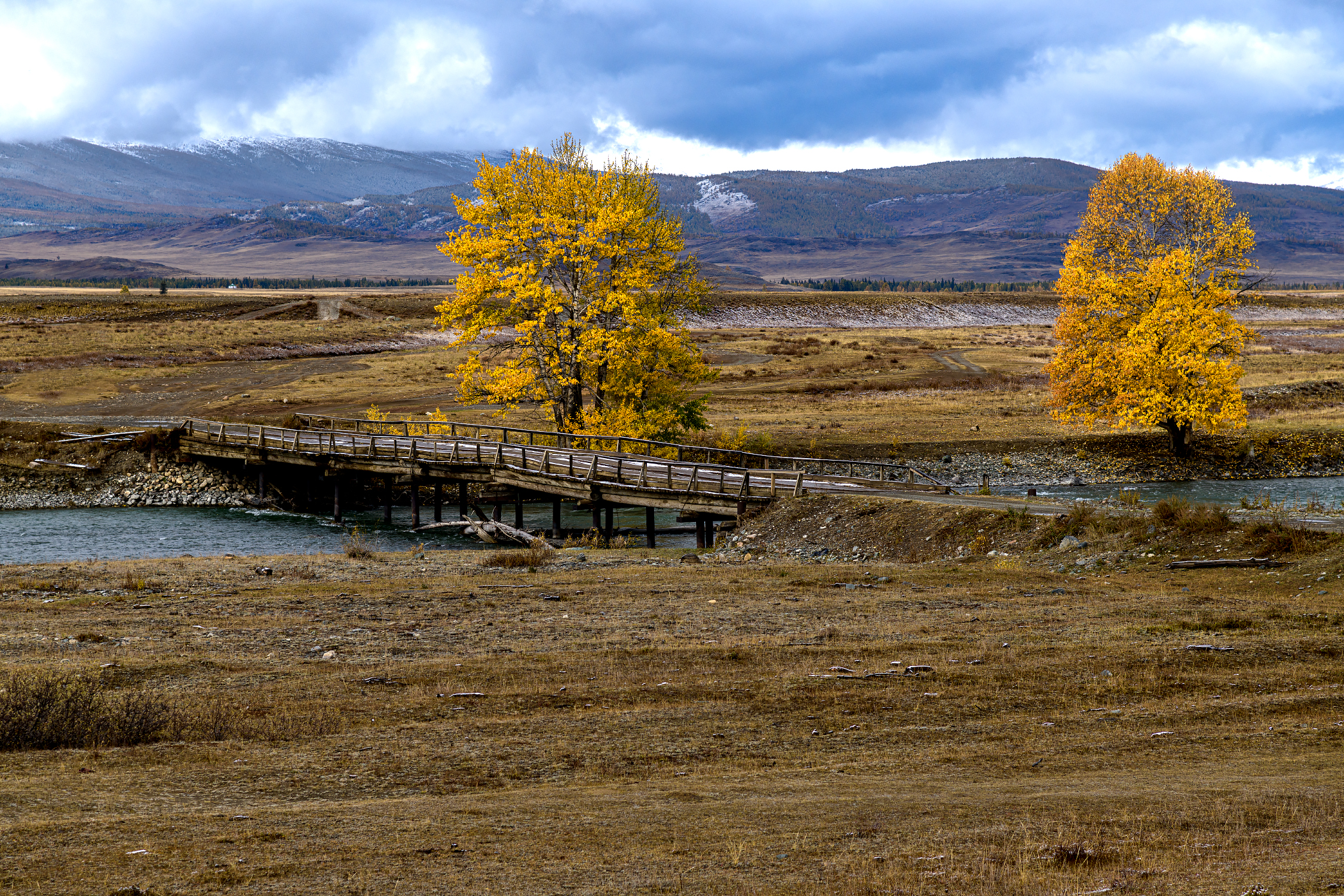 , Юрий Матвеев