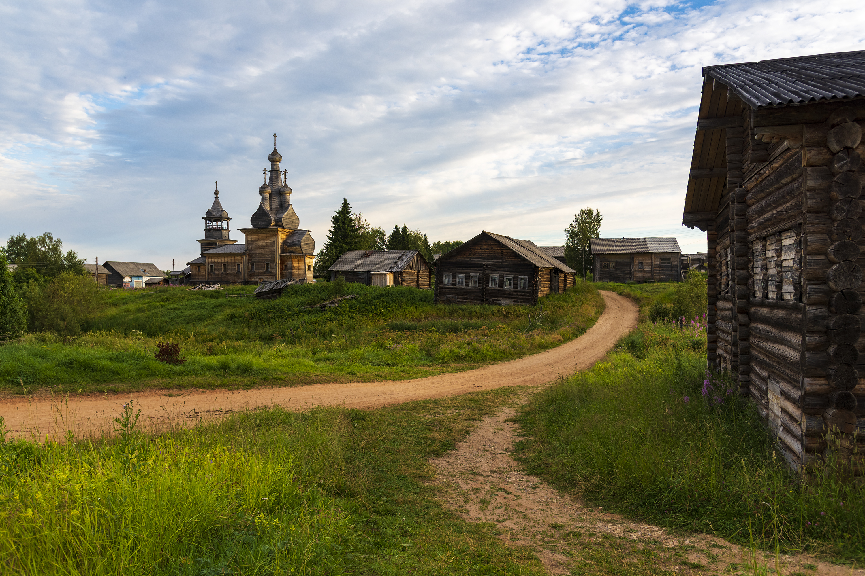 , Дмитрий Новоселов