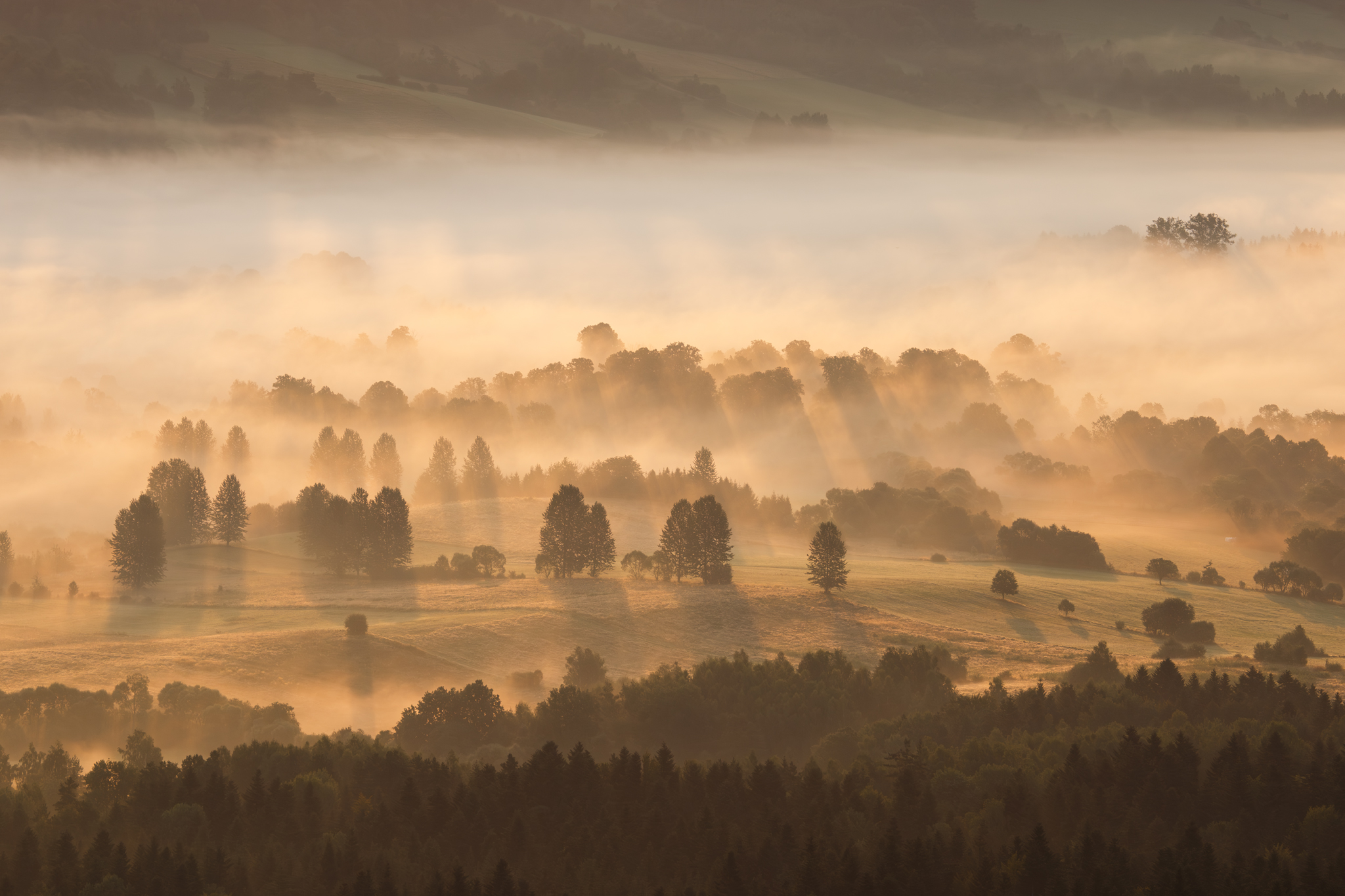 ,  Mirosław Pruchnicki