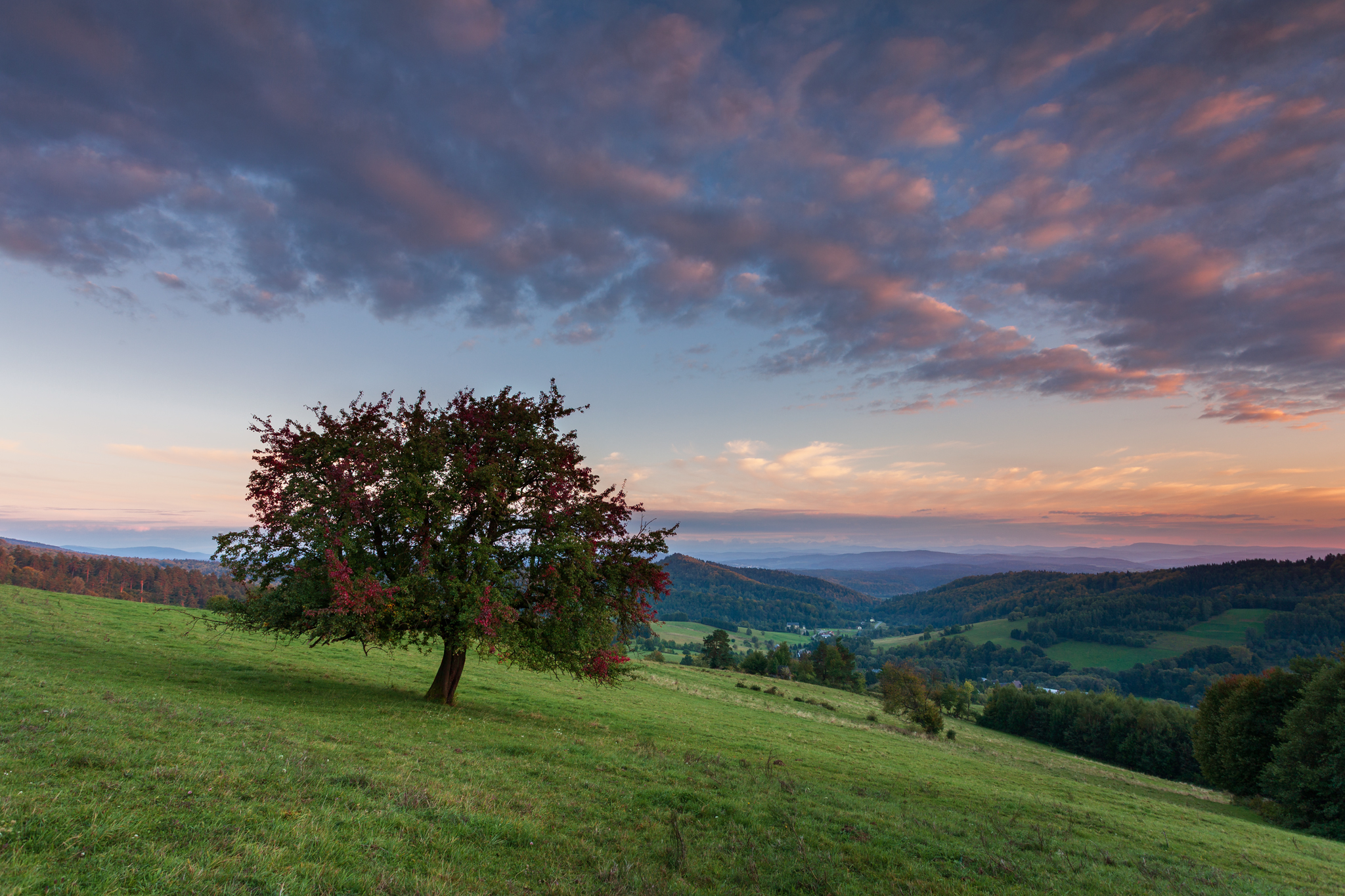 ,  Mirosław Pruchnicki