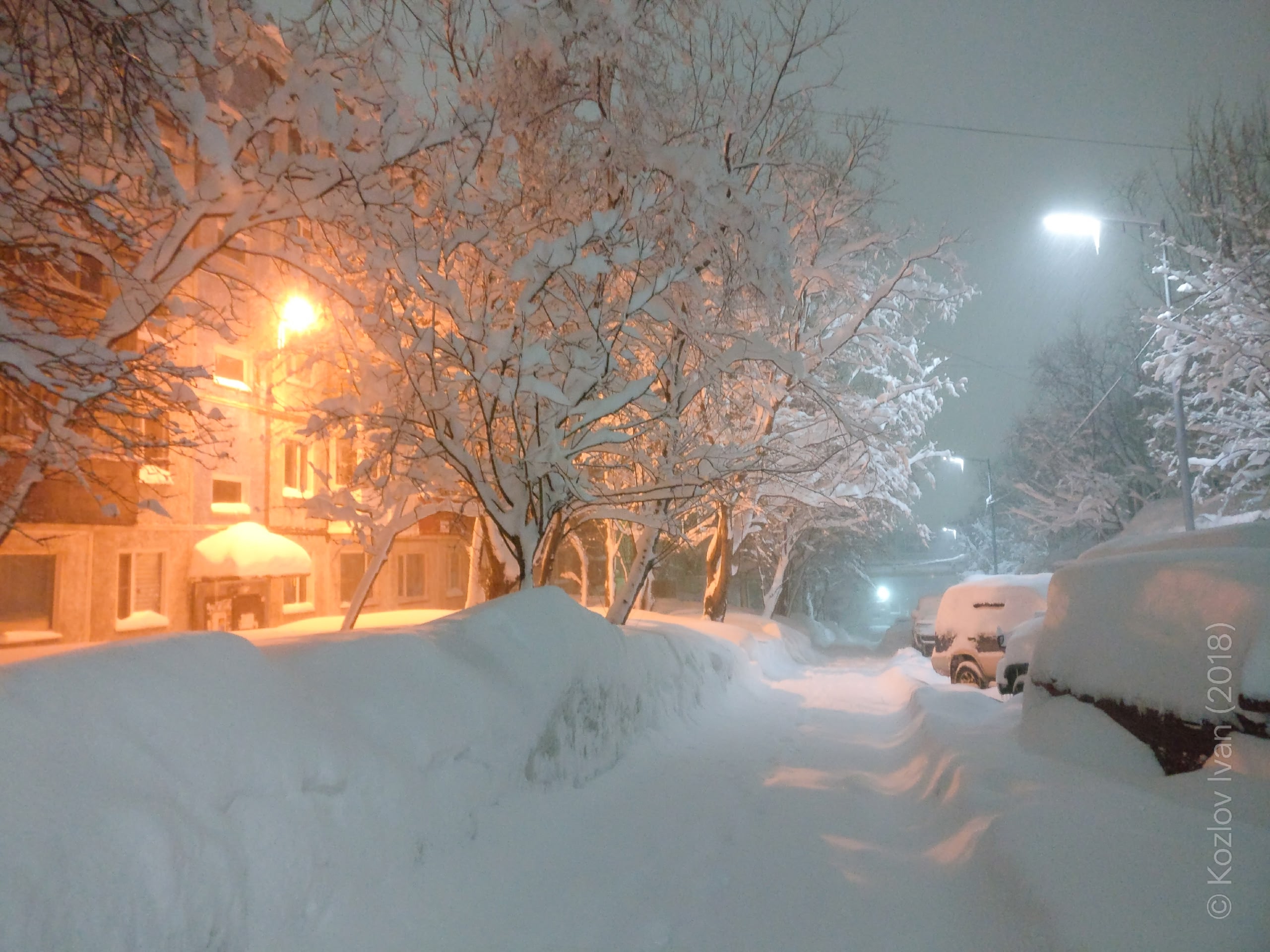 , Козлов Иван