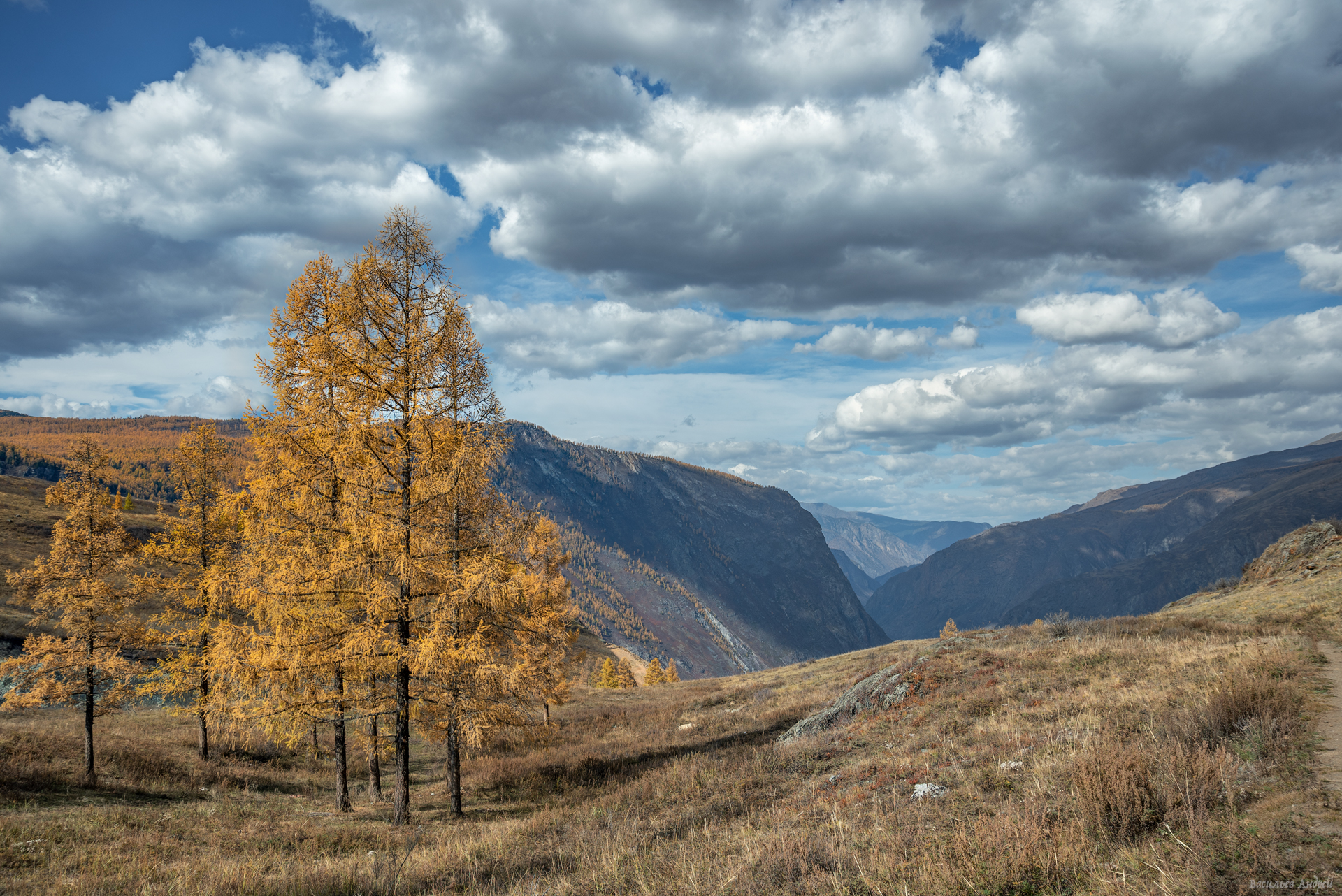алтай, горный алтай, кату-ярык, природа, осень, золотая осень, Vasilyev Andrey