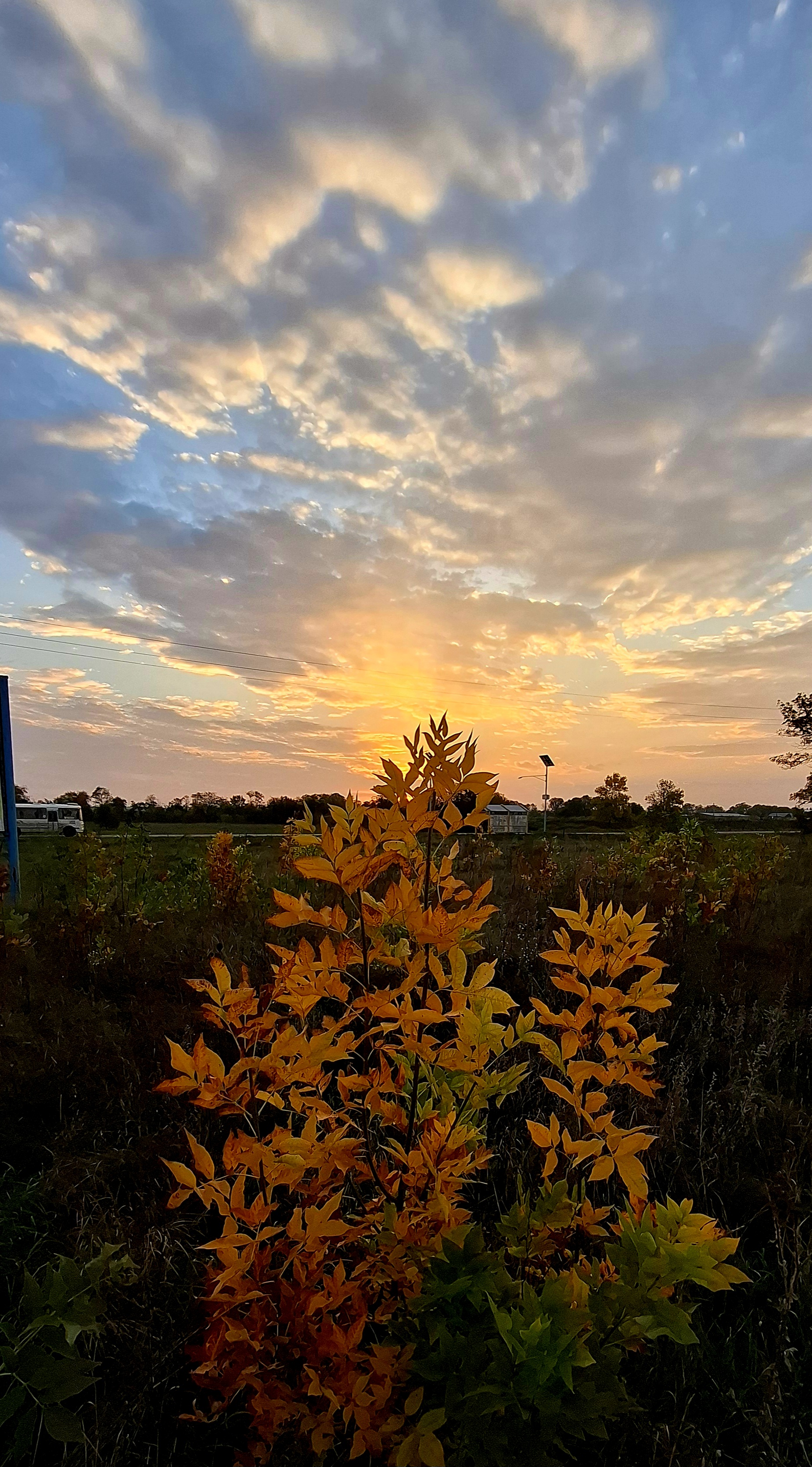 краснодарский край, рассвет, осень октябрь, Мысливцев Николай