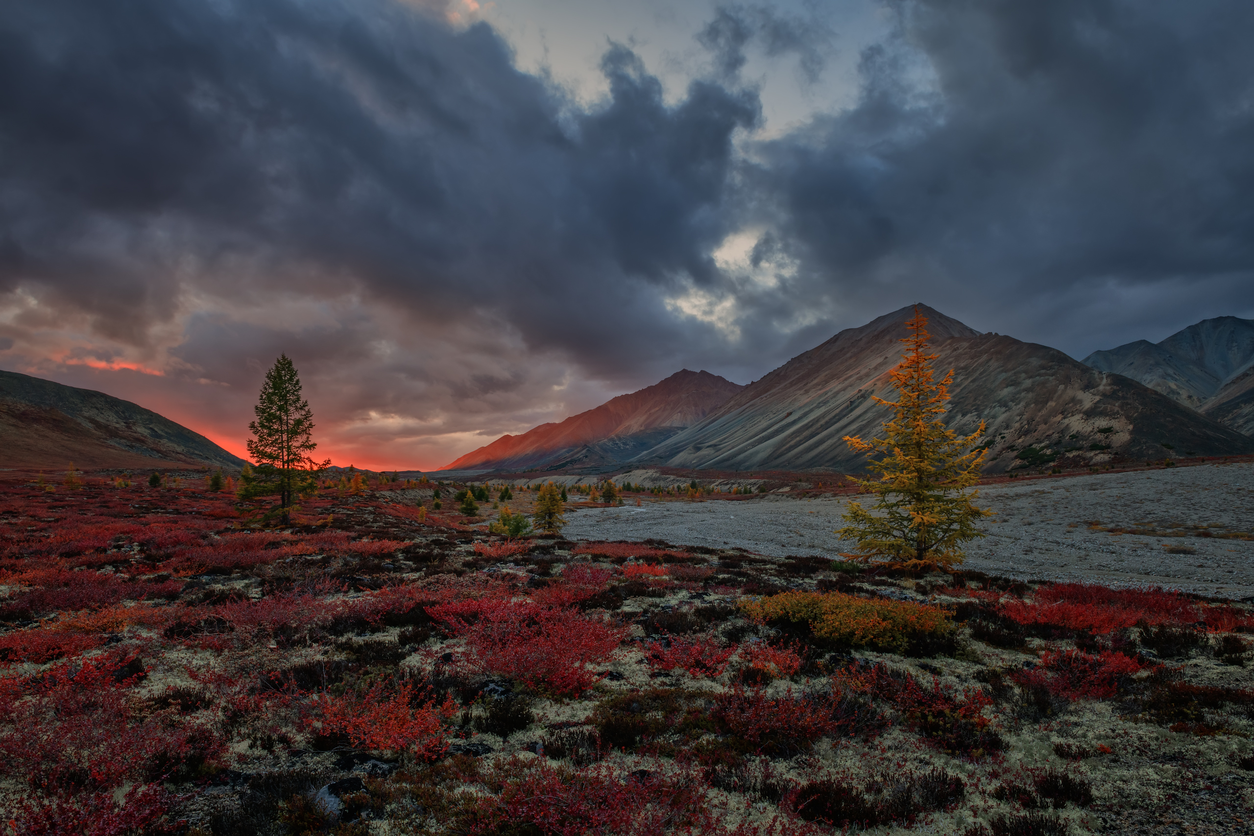 , Евдокимов Максим