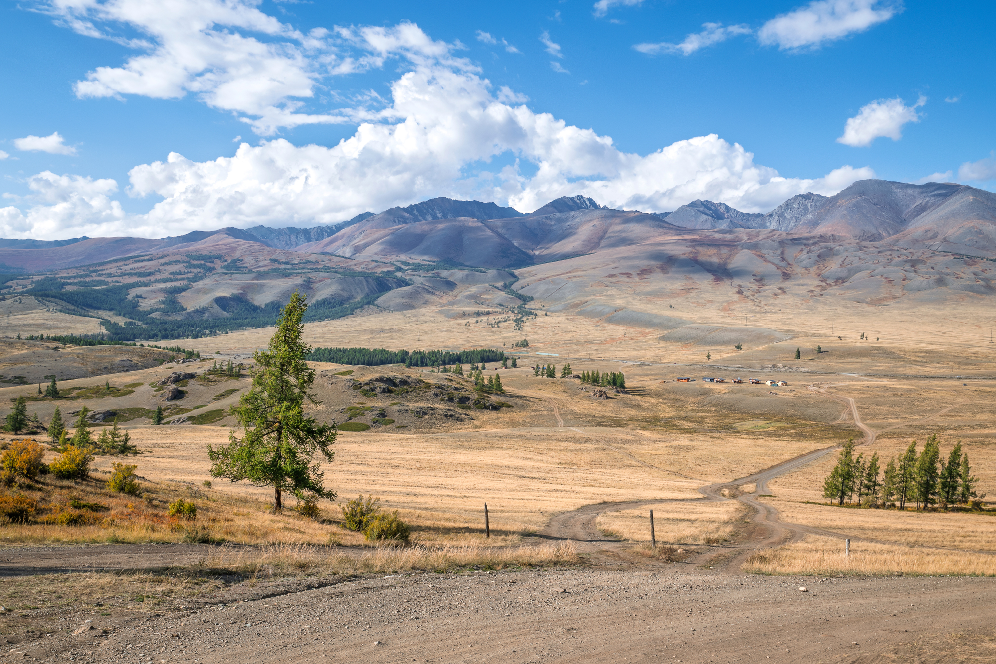 алтай, горы, природа, nikon, россия, Andrey