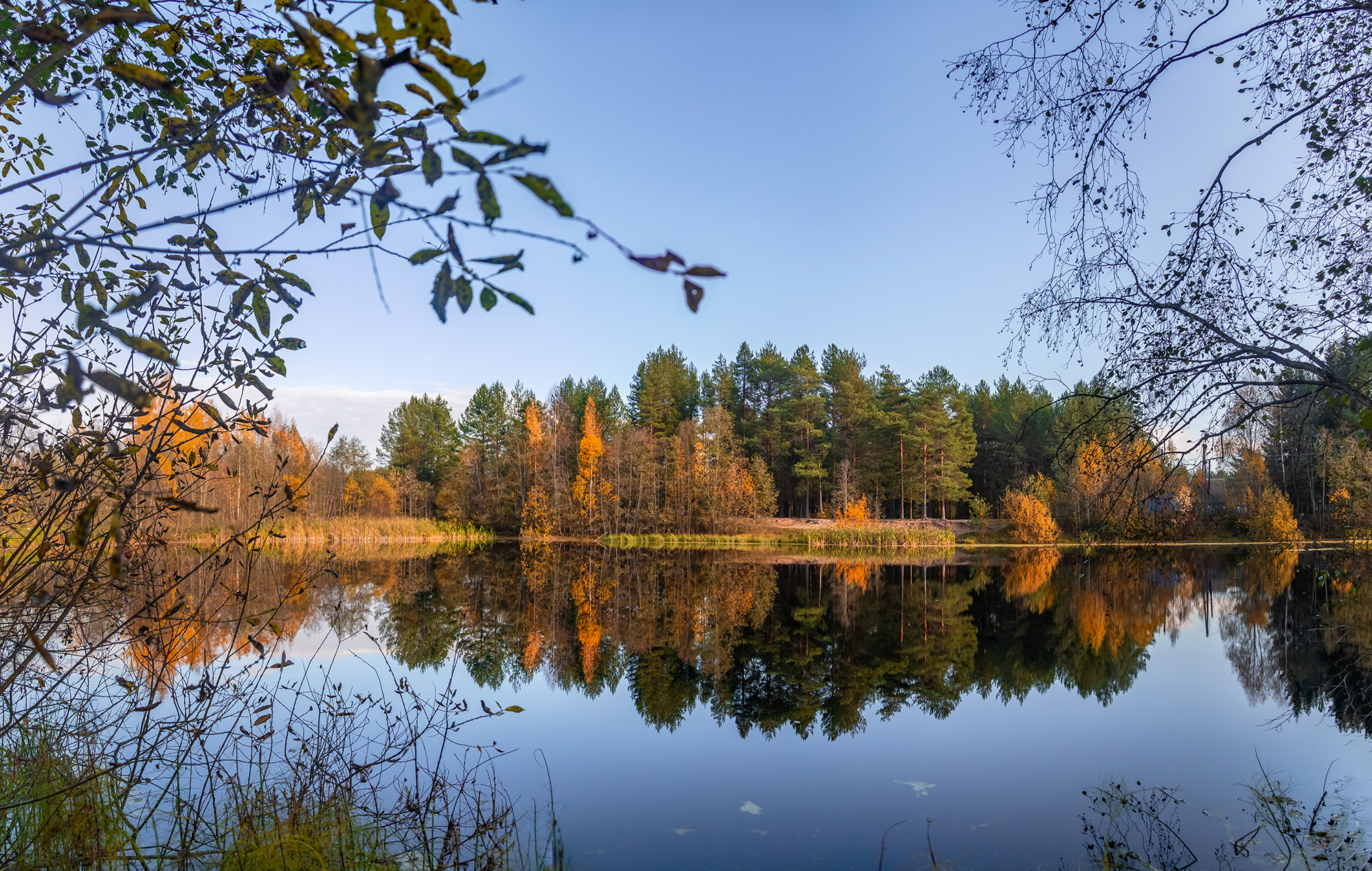 озеро, штиль, отражение, осень., Анкудинов Леонид