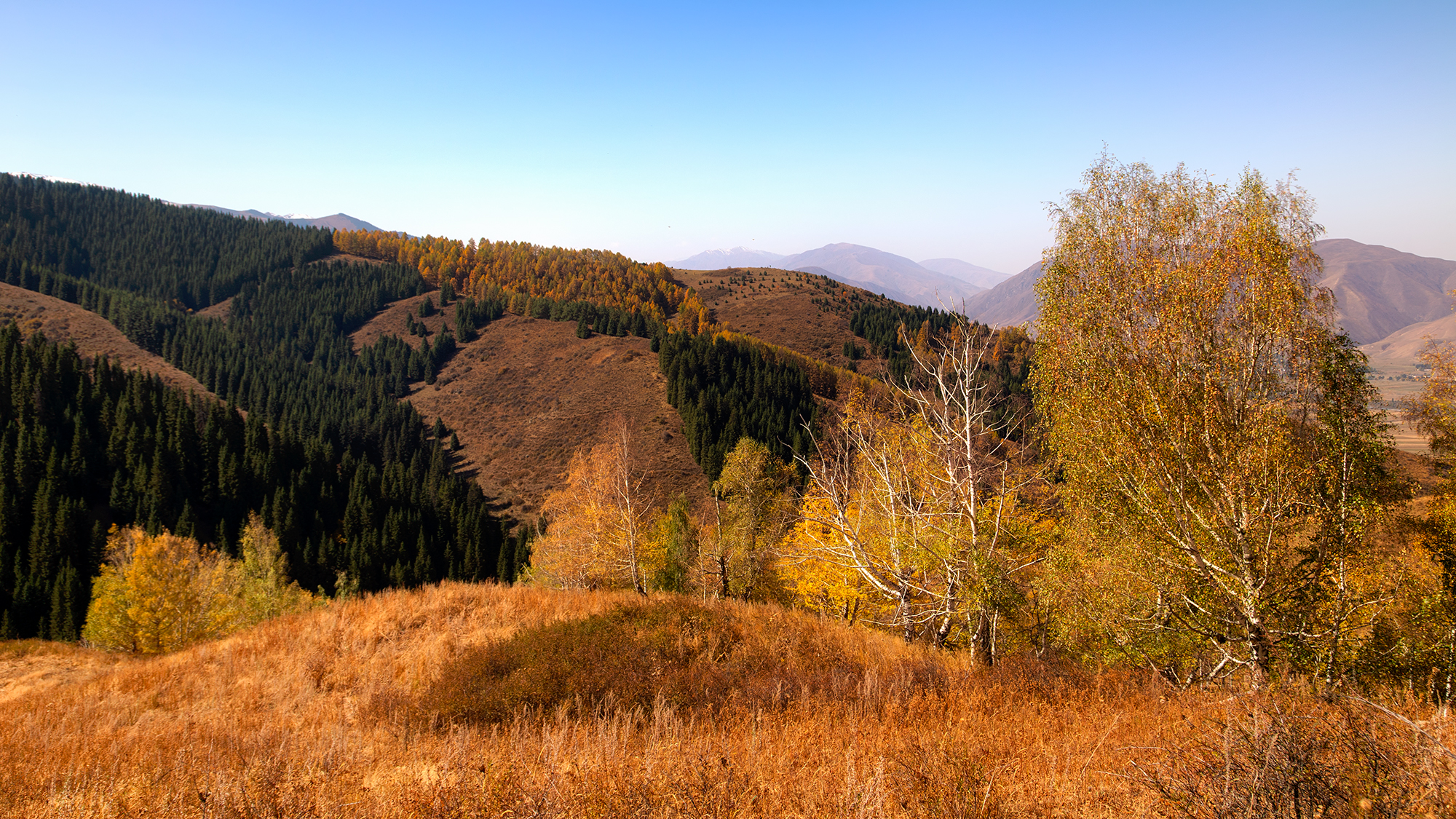 кыргызстан, чон-кемин, Элина Магалимова