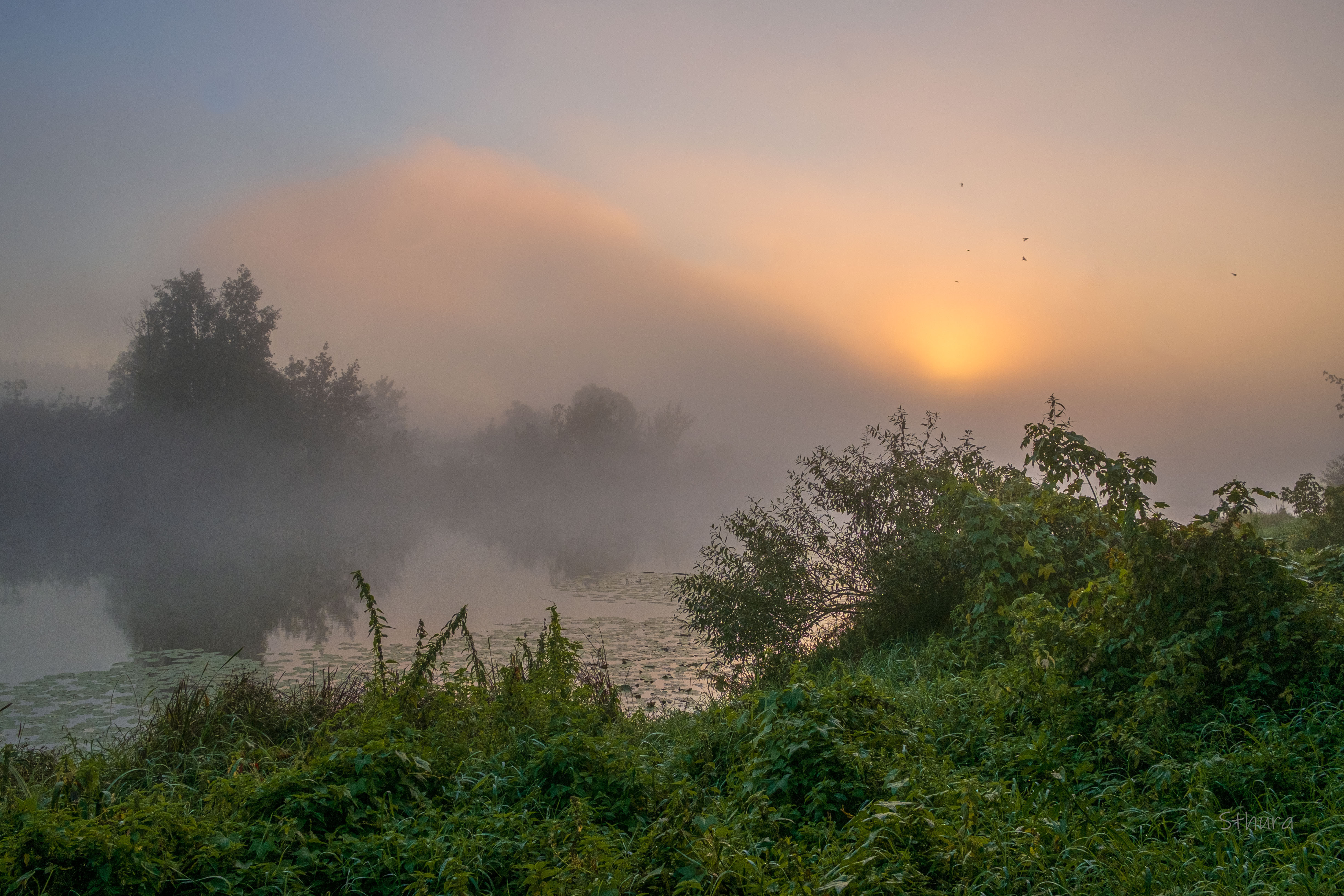 осень утро озеро туман природа пейзаж, Александр Строков